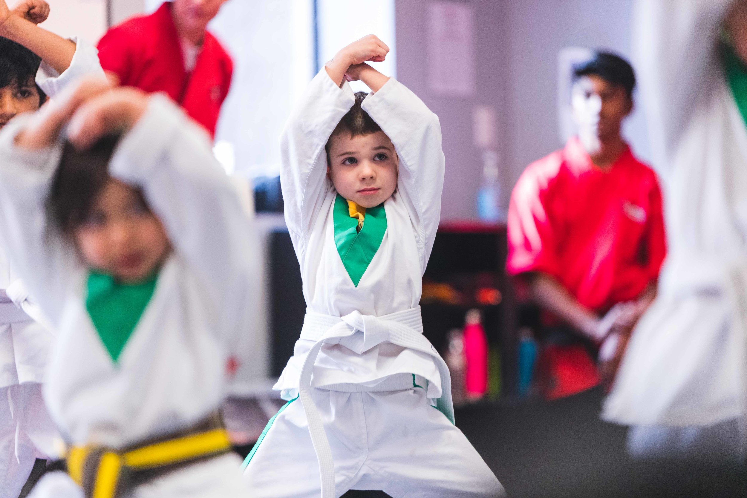 22+ Martial Arts For 4 Year Olds