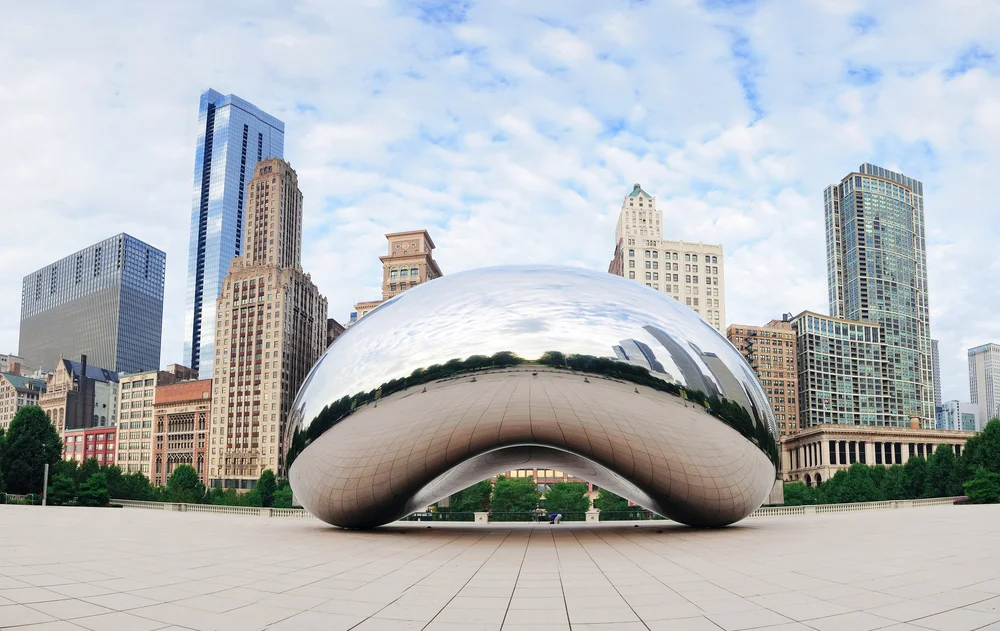 the bean 1.jpg