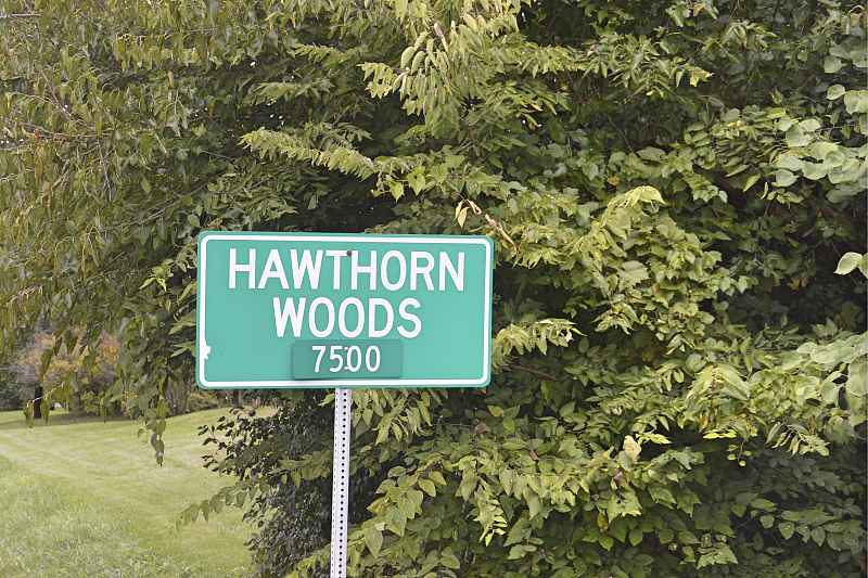 Hawthorn Woods.jpg