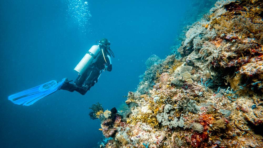 What to do on Atauro Island | Timor Leste — TravelPixelz