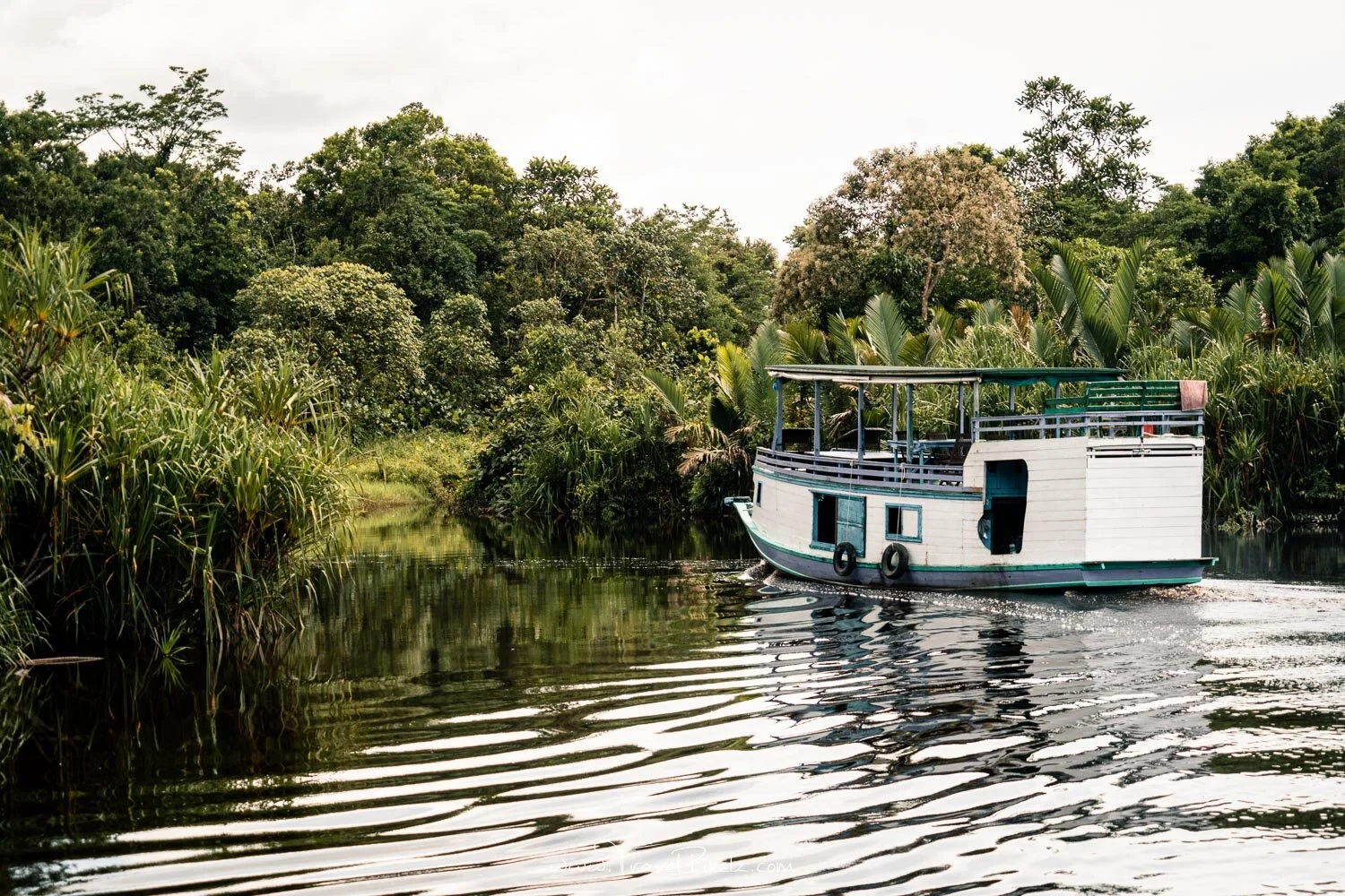 tanjung puting national park borneo