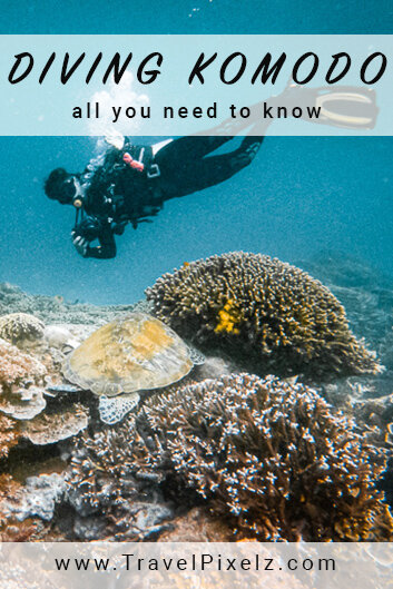 Scuba Diving Komodo National Park - Dive centers, dive sites, prices_pinterest 2.jpg
