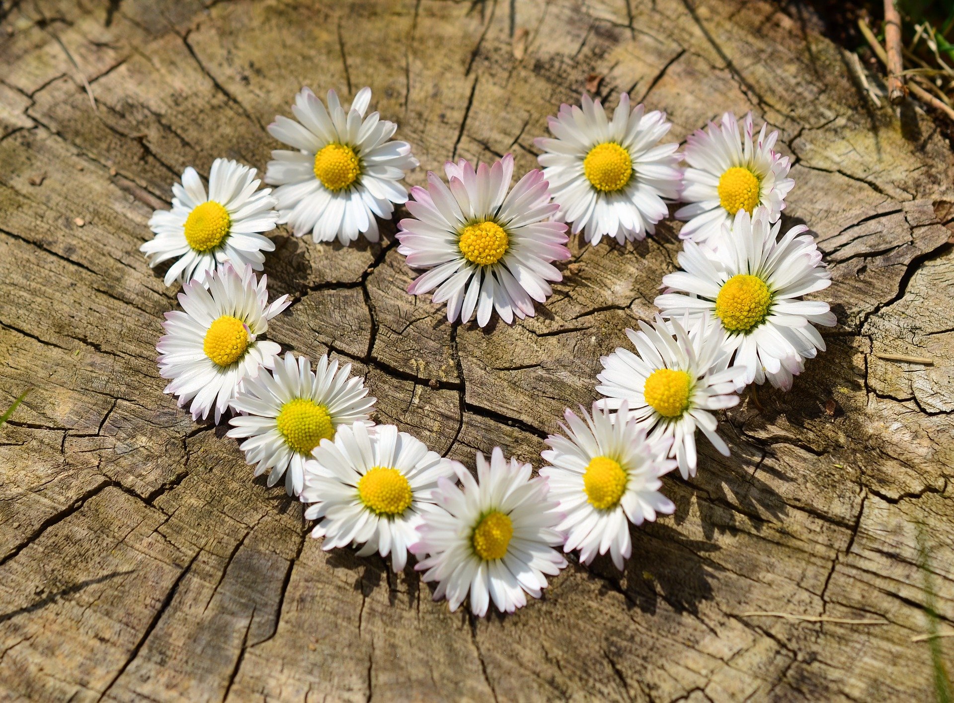 Healing You is een plaats waar je echt geholpen wordt. Stefaan is een rustige,kalme man met heel veel geduld. Hij volgt jouw tempo en dringt zich niet op. Hij observeert, merkt echt alles op. Je voelt je veilig. Er zijn momenten van stilte, momenten