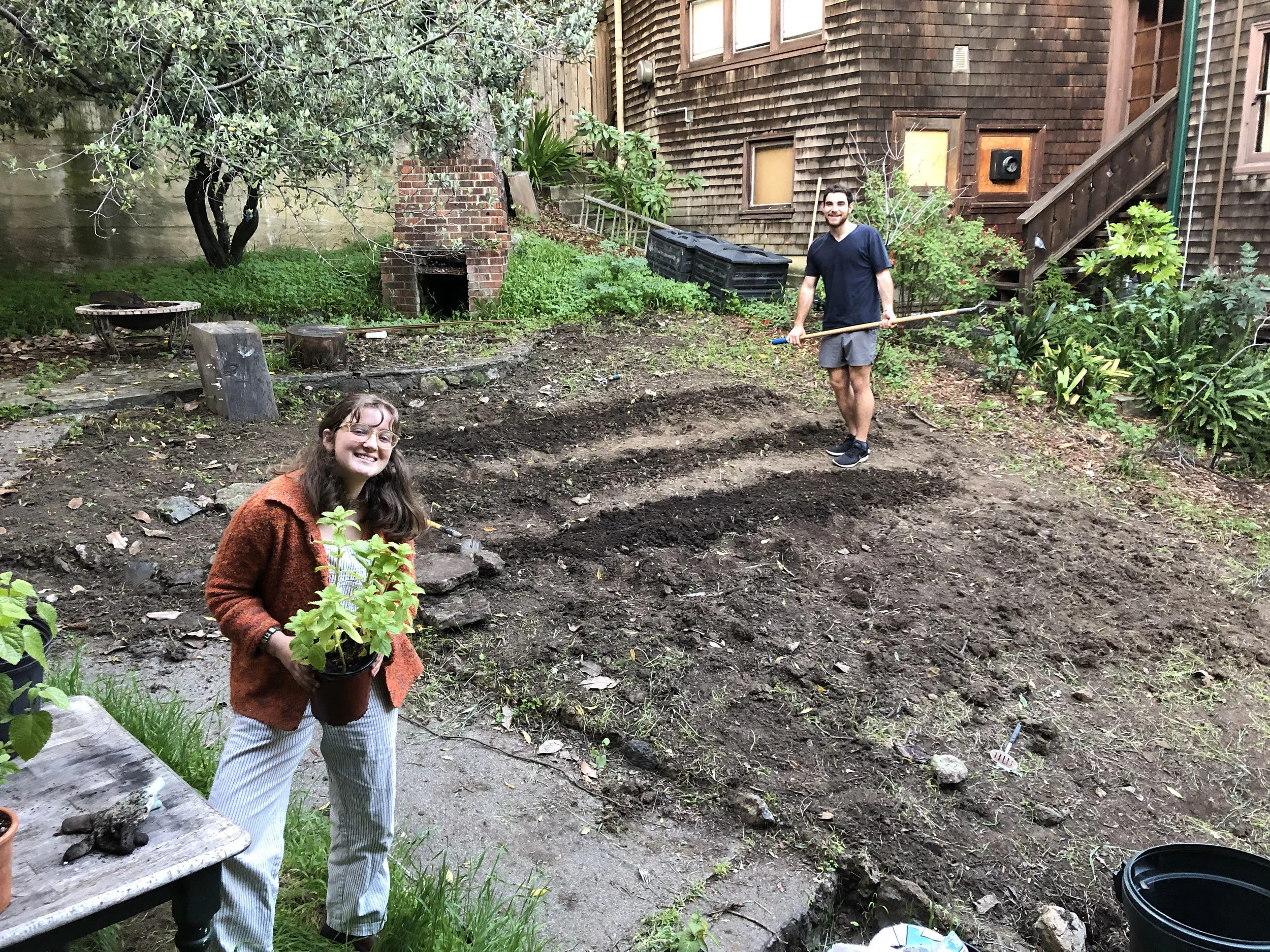 House gardening project 2019