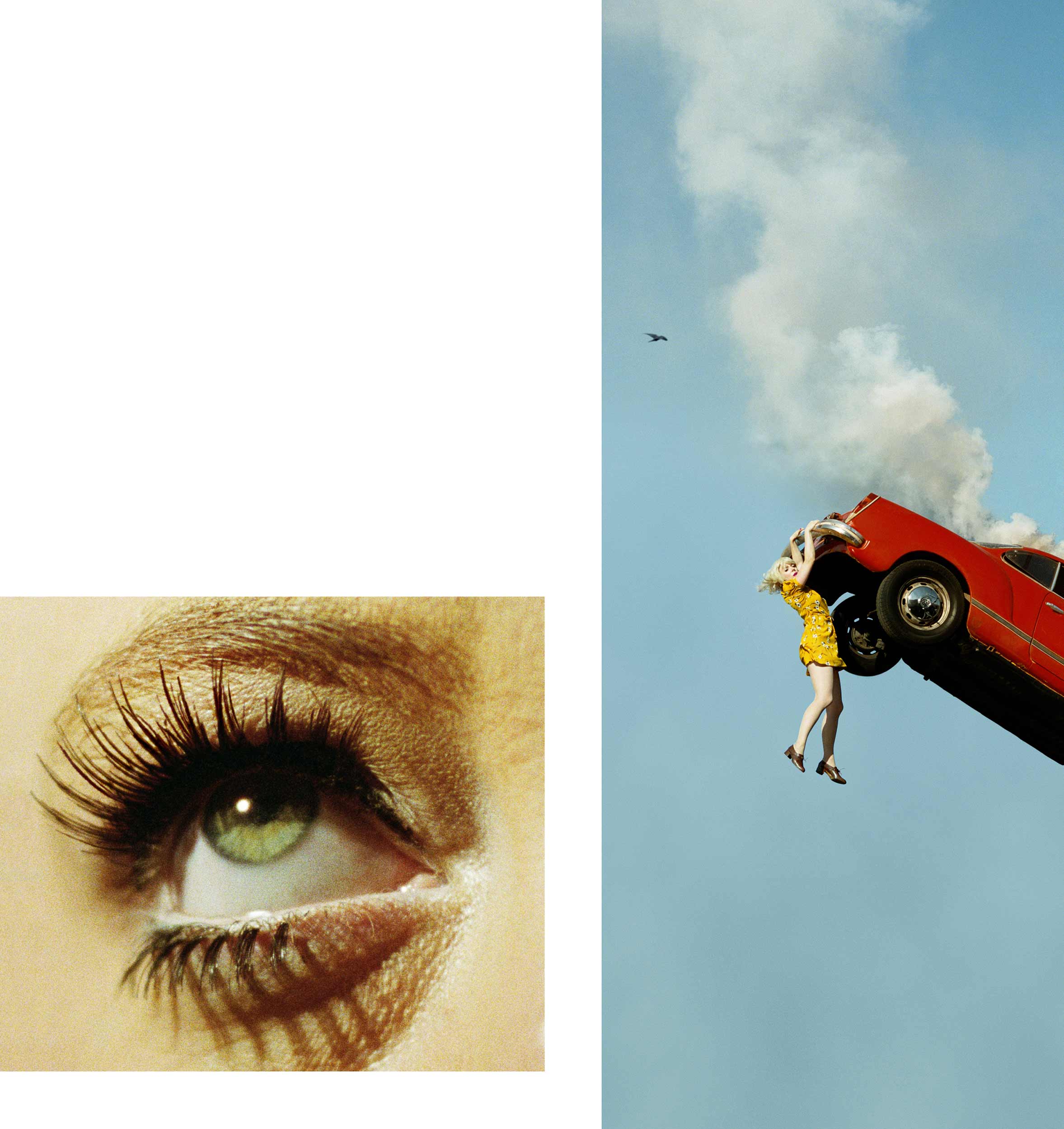   Compulsion   3:32 PM, Coldwater Canyon and Eye #5 (Automobile Accident) (Diptych) , 2012 Eye: 20 x 23 inches, Scene: 48 x 19.7 inches 