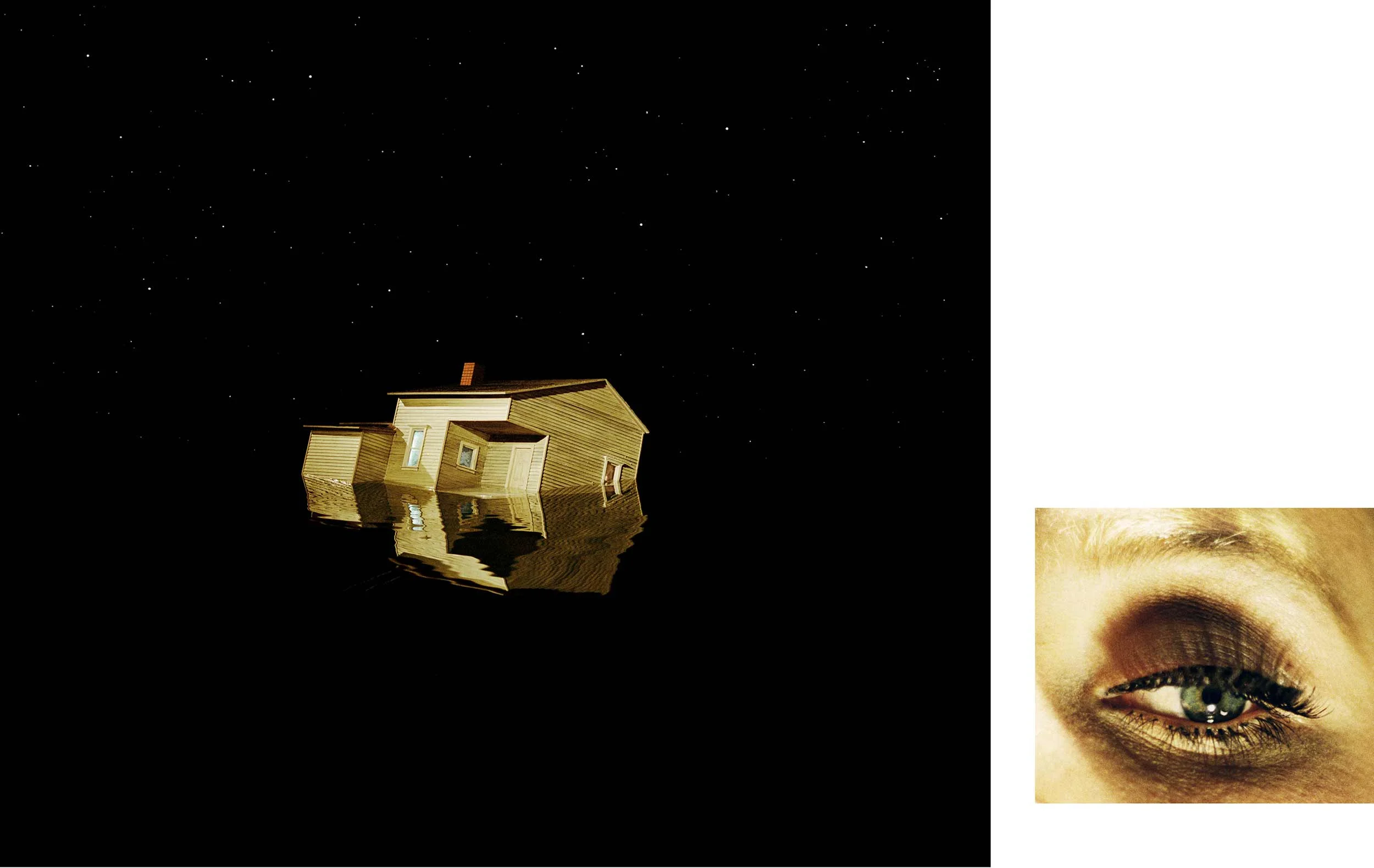 Compulsion 3:56 AM, Milwood Ave. And Eye #1 (Flood) (Diptych), 2012
