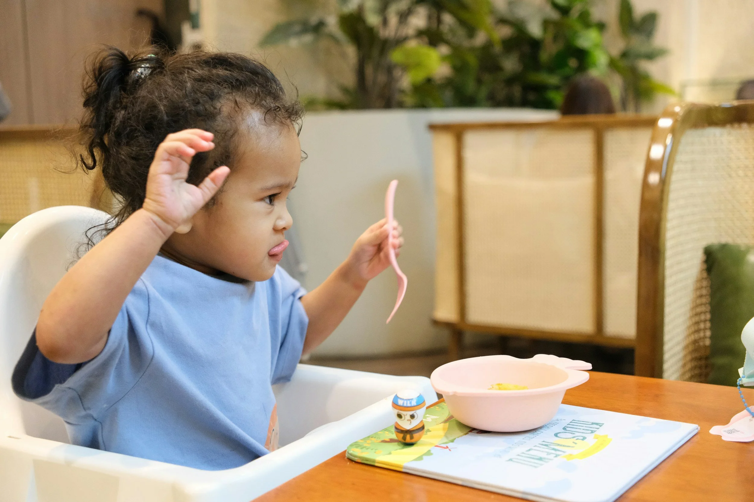 Older Babies and Toddlers