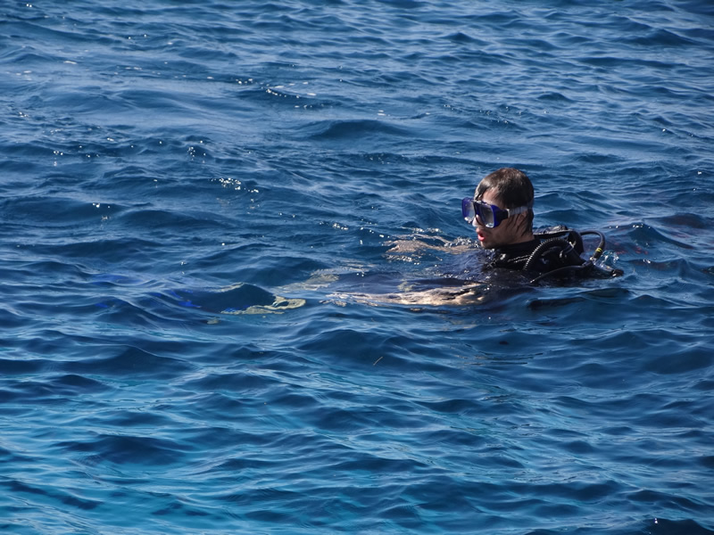  Scuba diving in Jamaica 