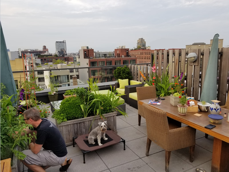  Our rooftop cabana 
