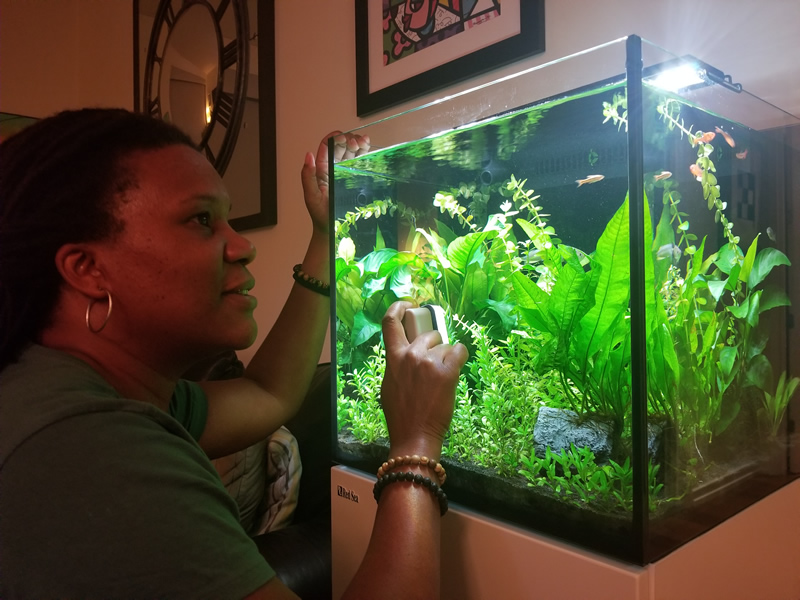  Taking care of our aquariums 