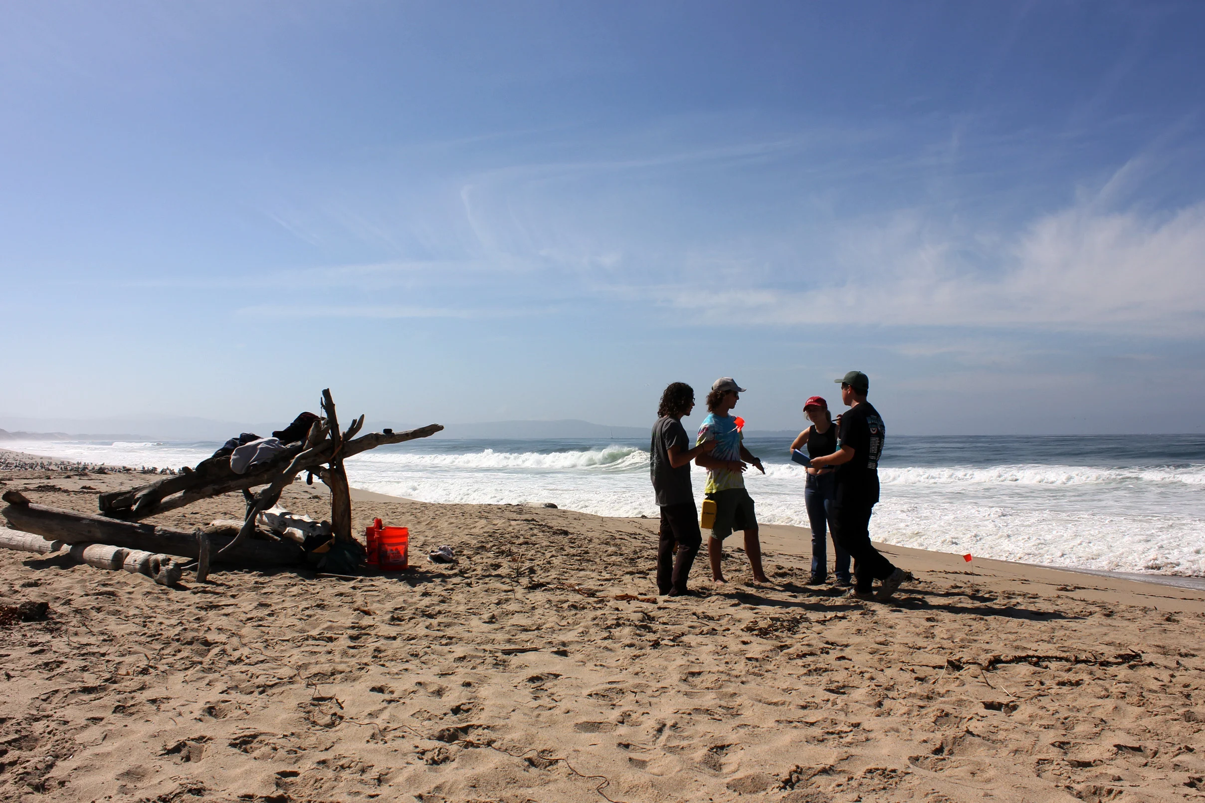IMG_9019(P).jpg