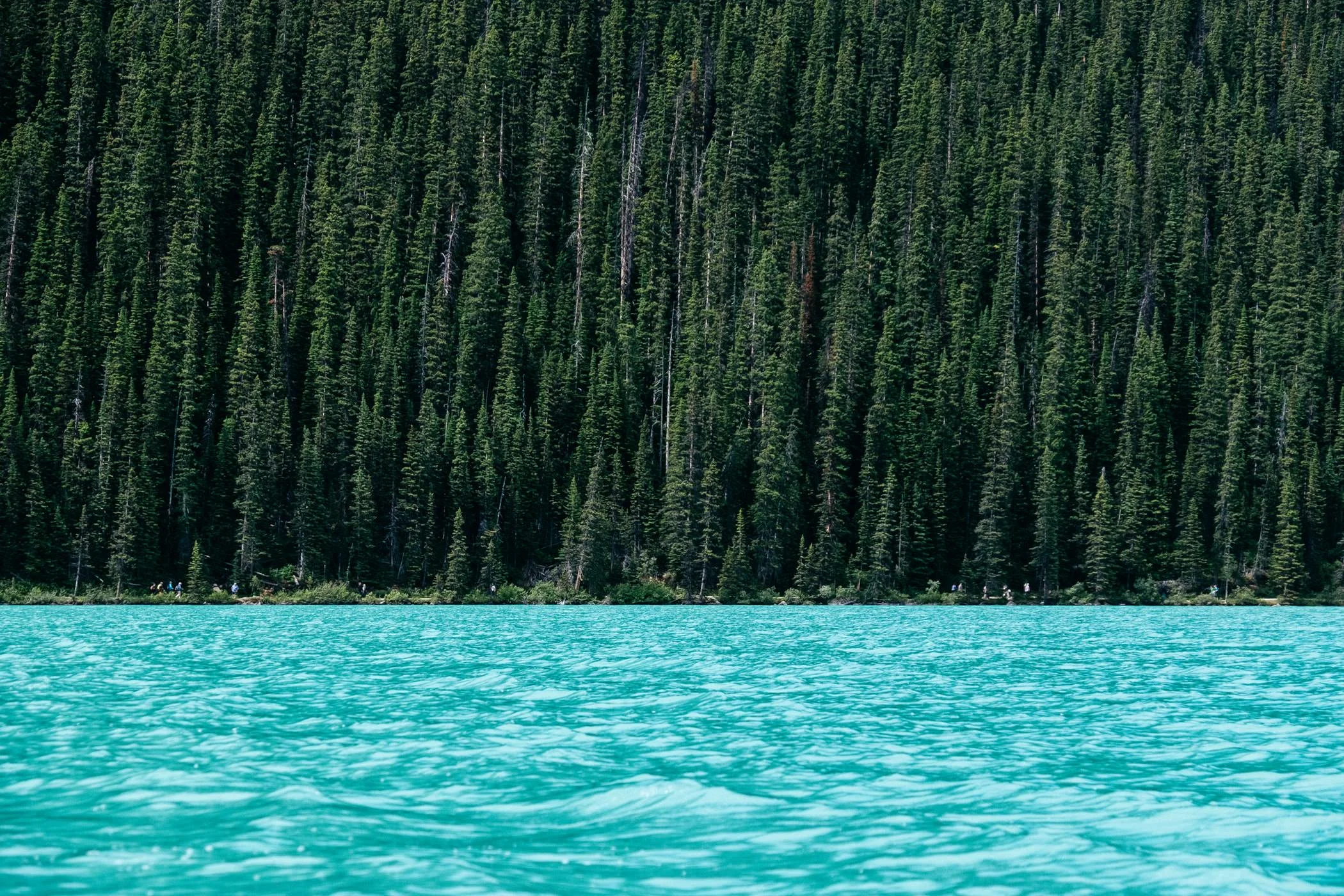 Lake and Trees.jpeg