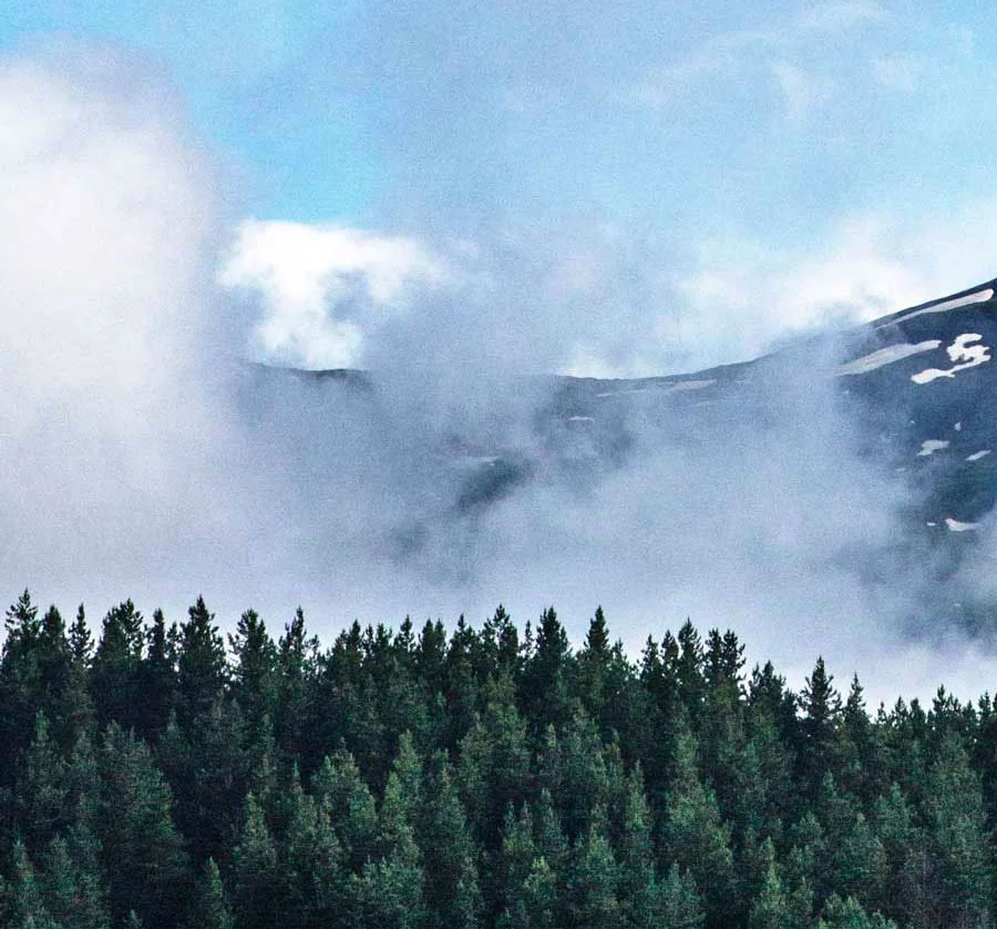Misty-1.jpg