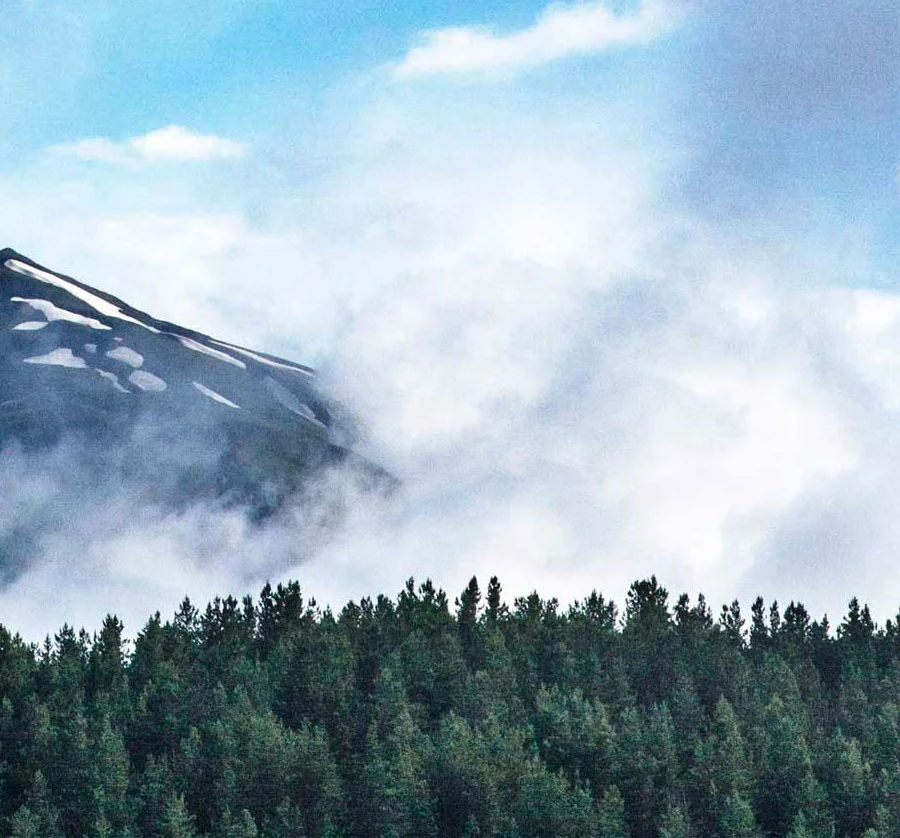 Misty-2.jpg