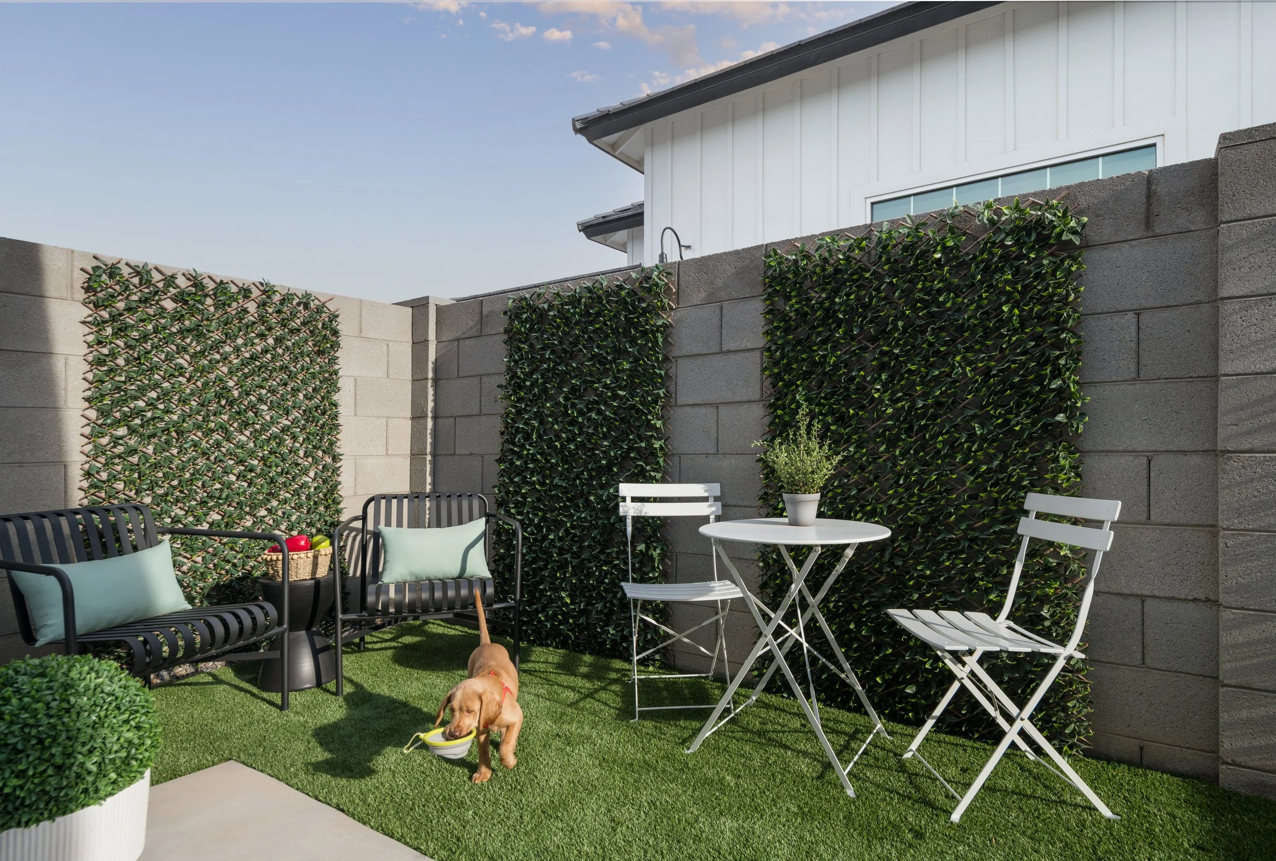 20250815_CJ Tronnier Gershon_Bungalows on Combs_1223_1.jpg