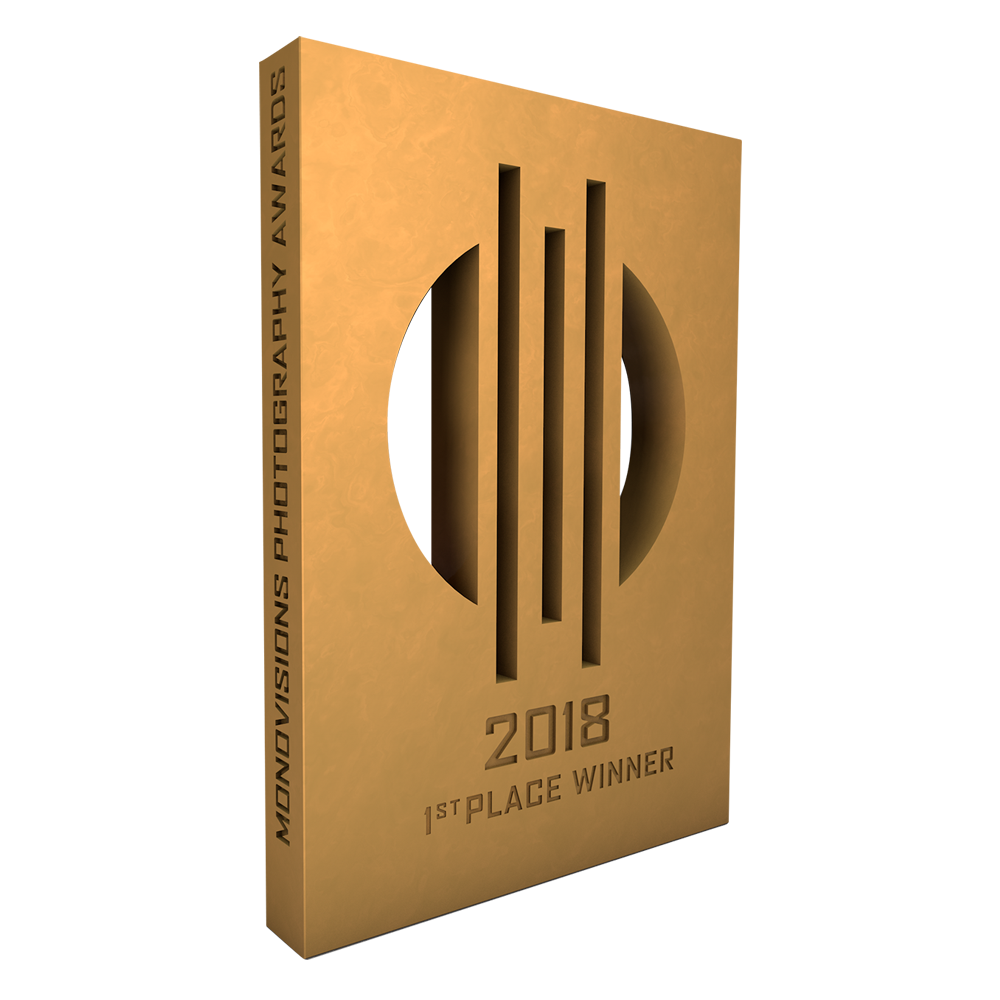 monovisions_awards_2018_1st_place.png