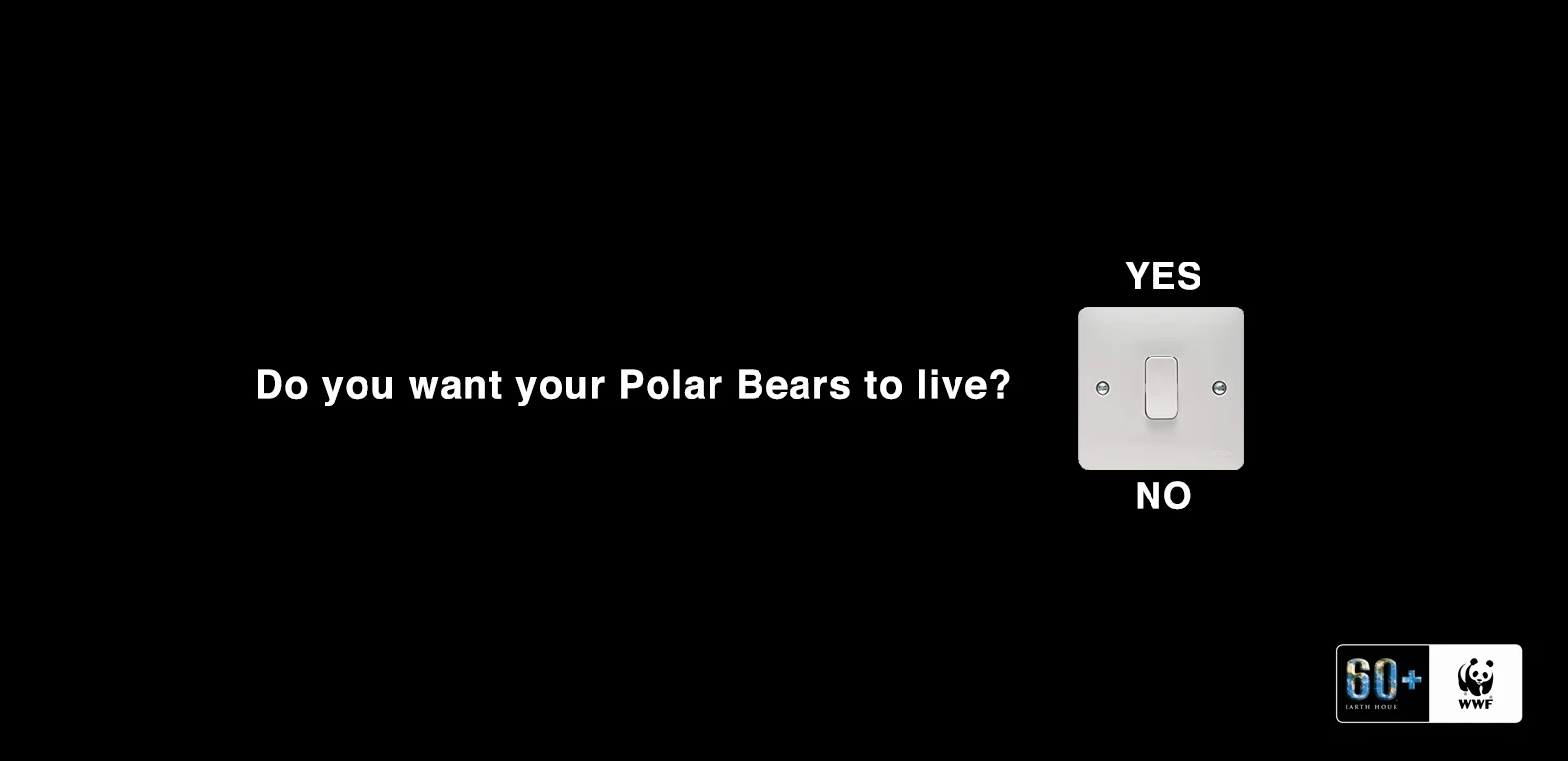 PolarBears.jpg
