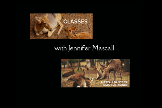 CLASSES ON PERFORMANCE