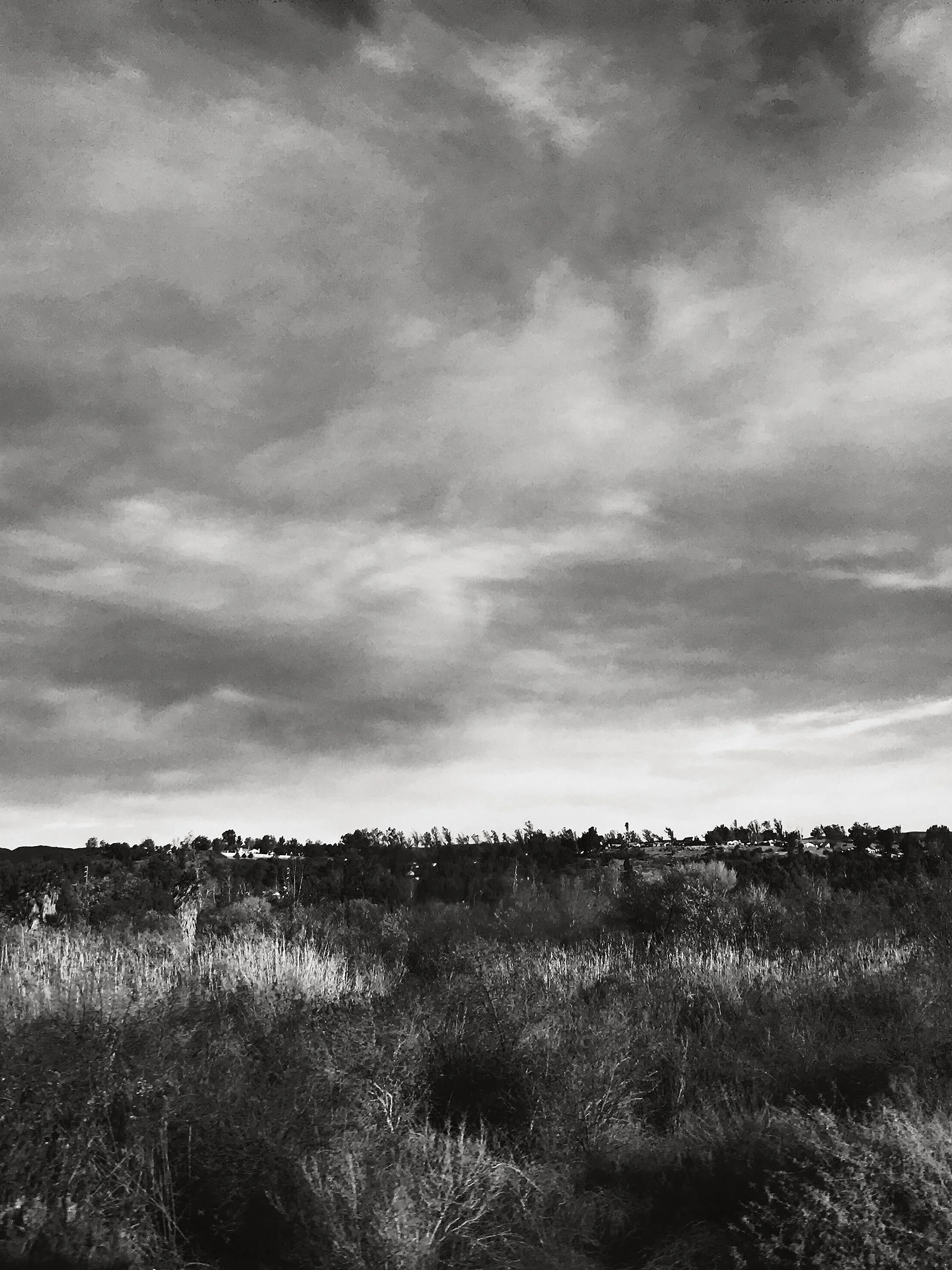 CALIFORNIA TRAIN RIDE 73- WEBSITE PRINT .jpg