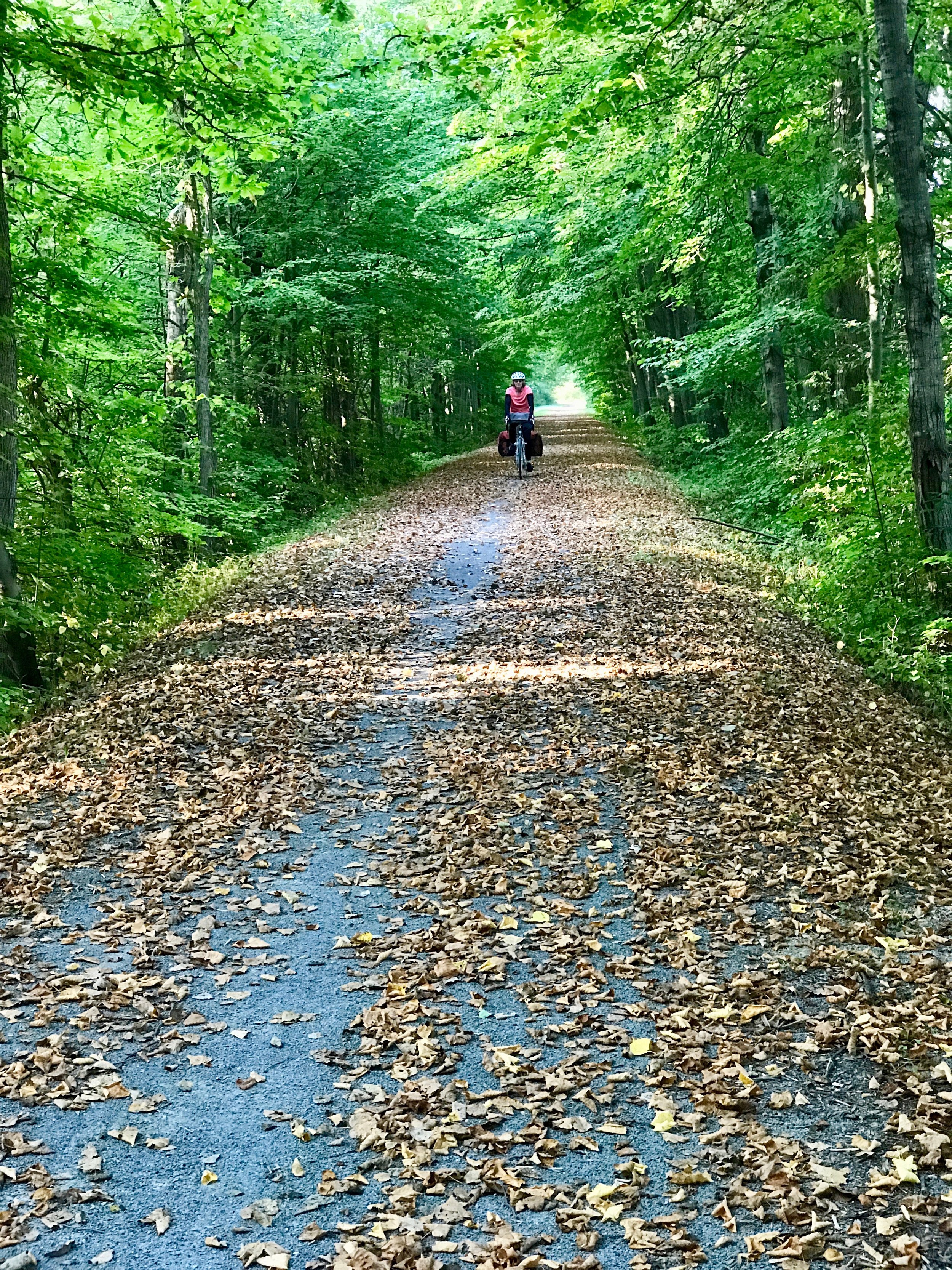 Leafy Trail