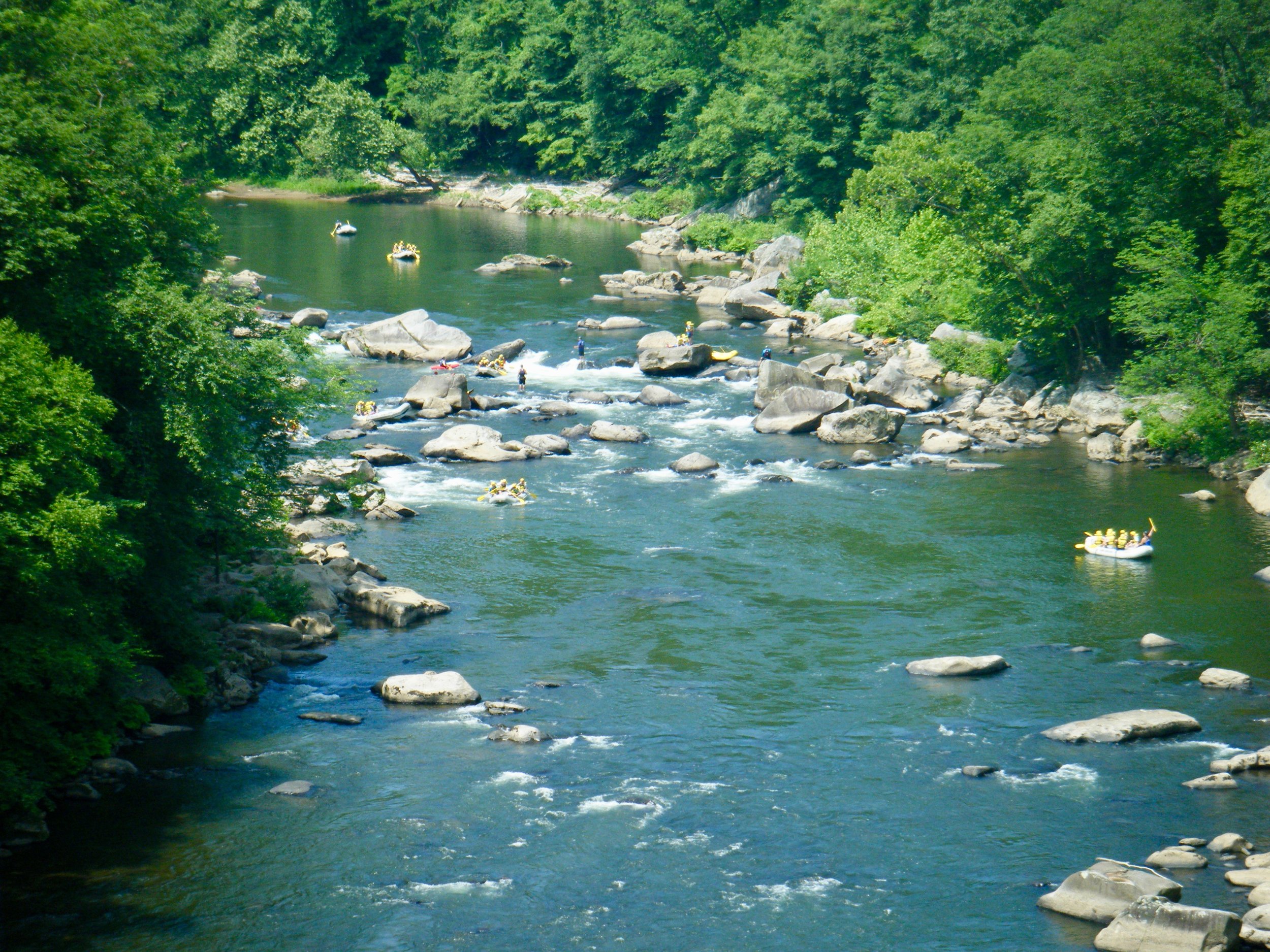 Rafters in the Youghiogheny River