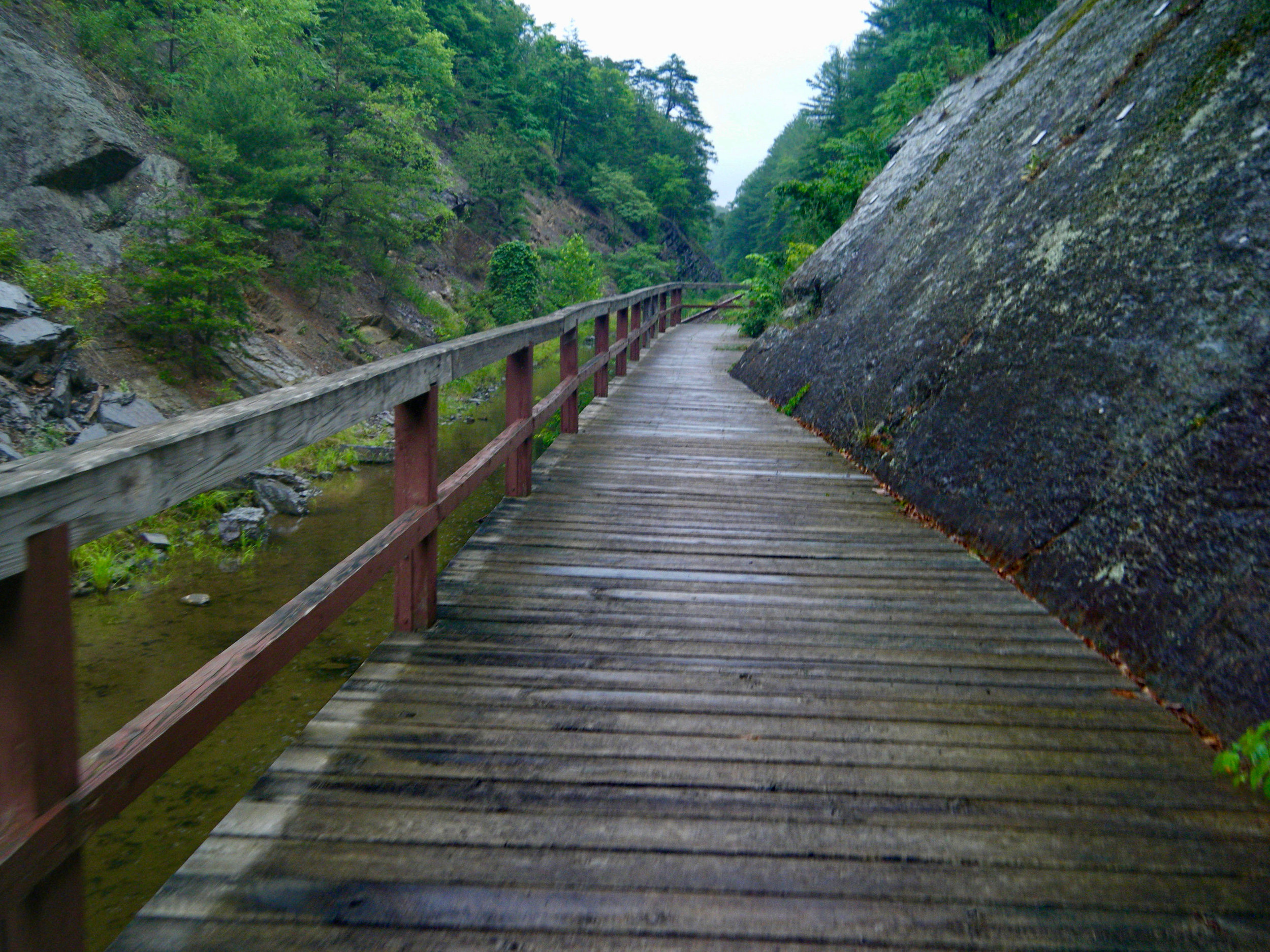 Tunnel Hill Trail