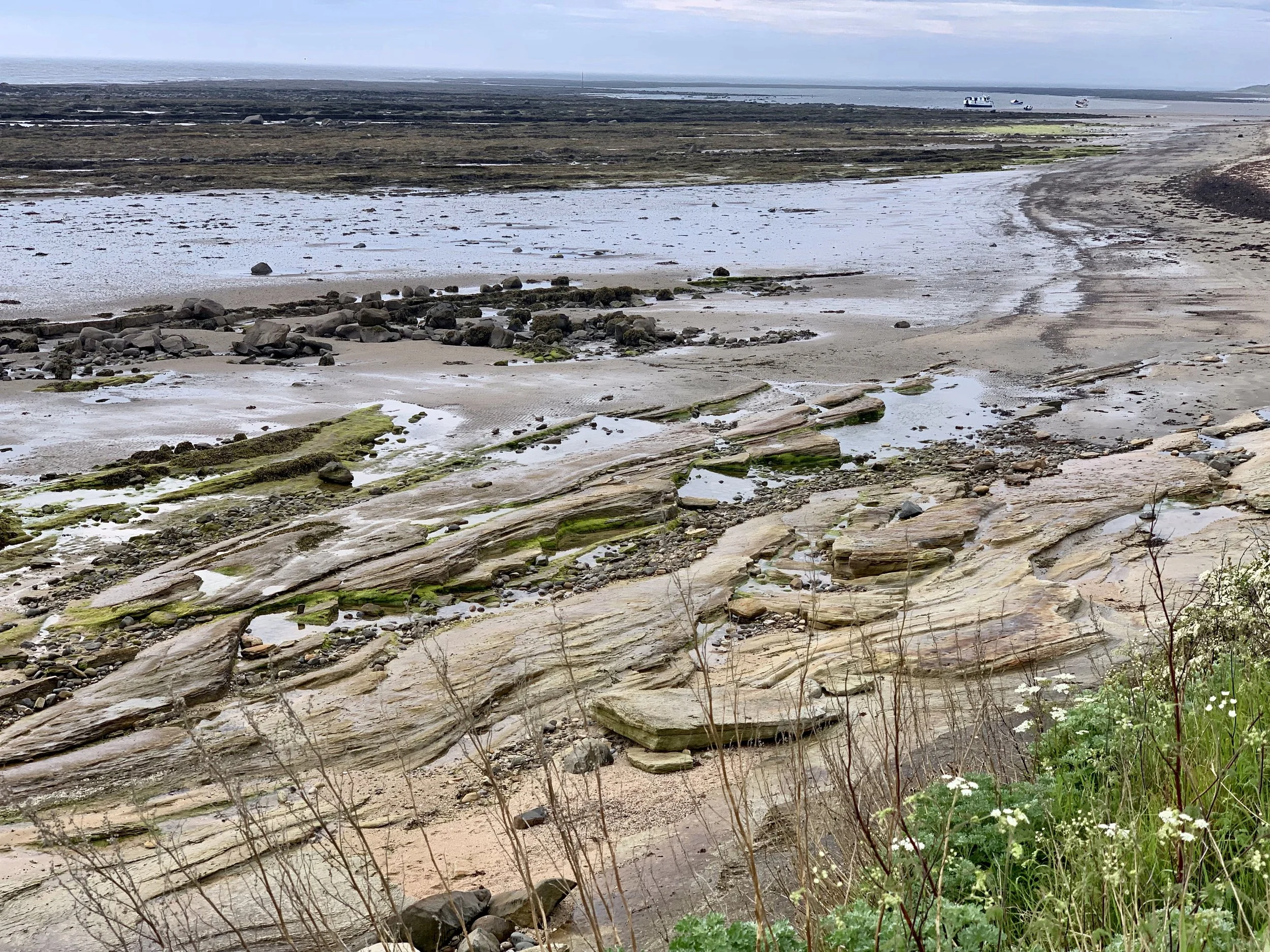Different types of rocks line the shore