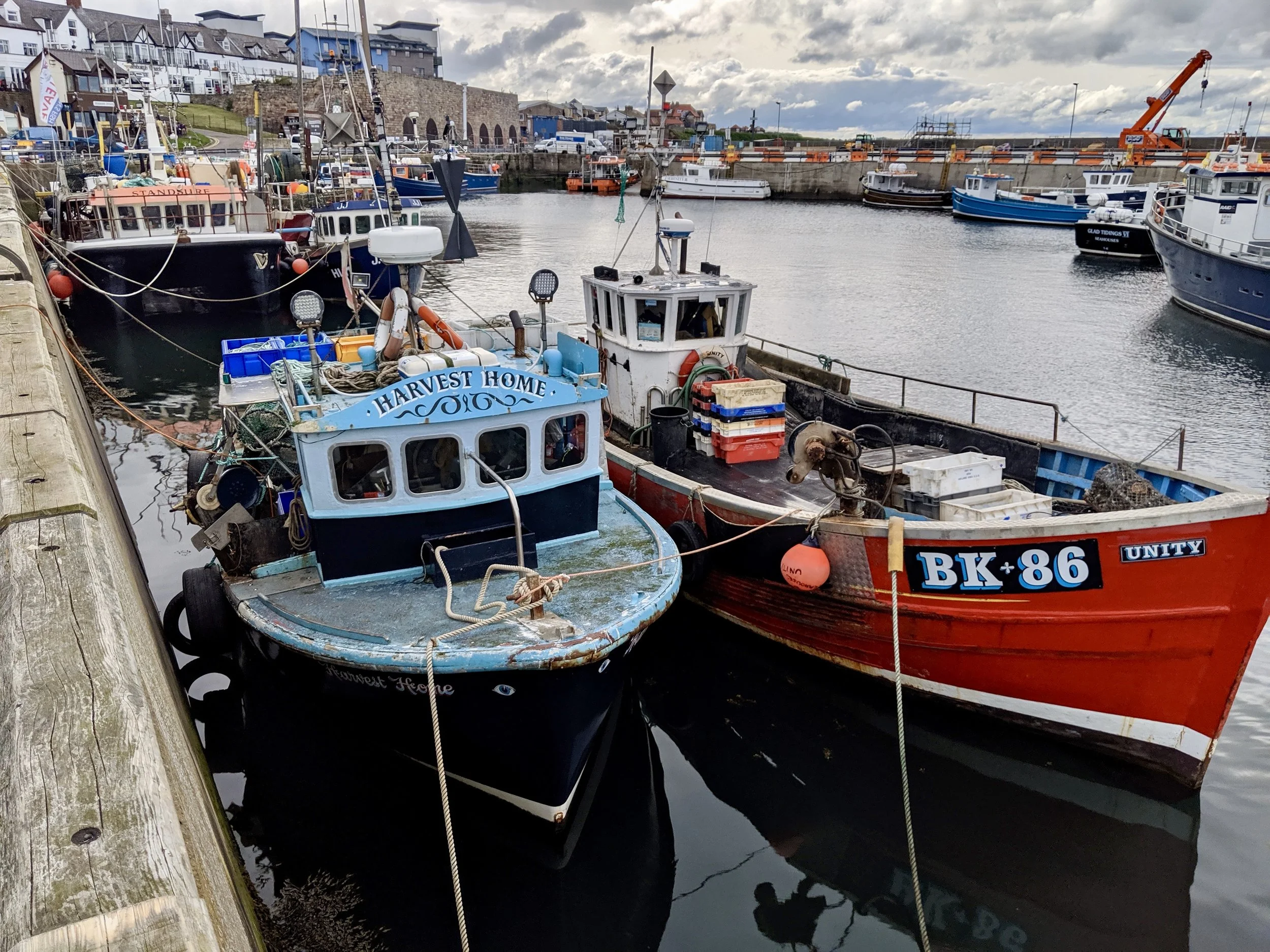 North Sunderland Harbor