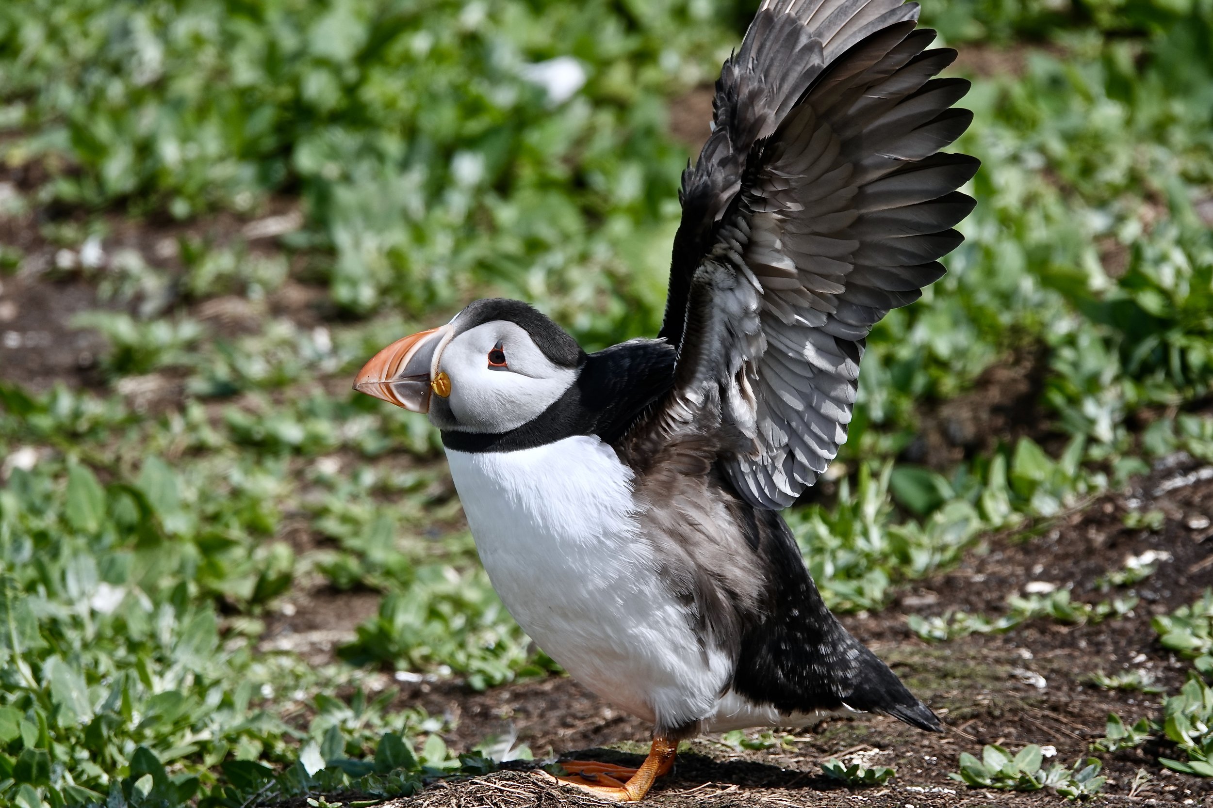 Feels good to just stretch