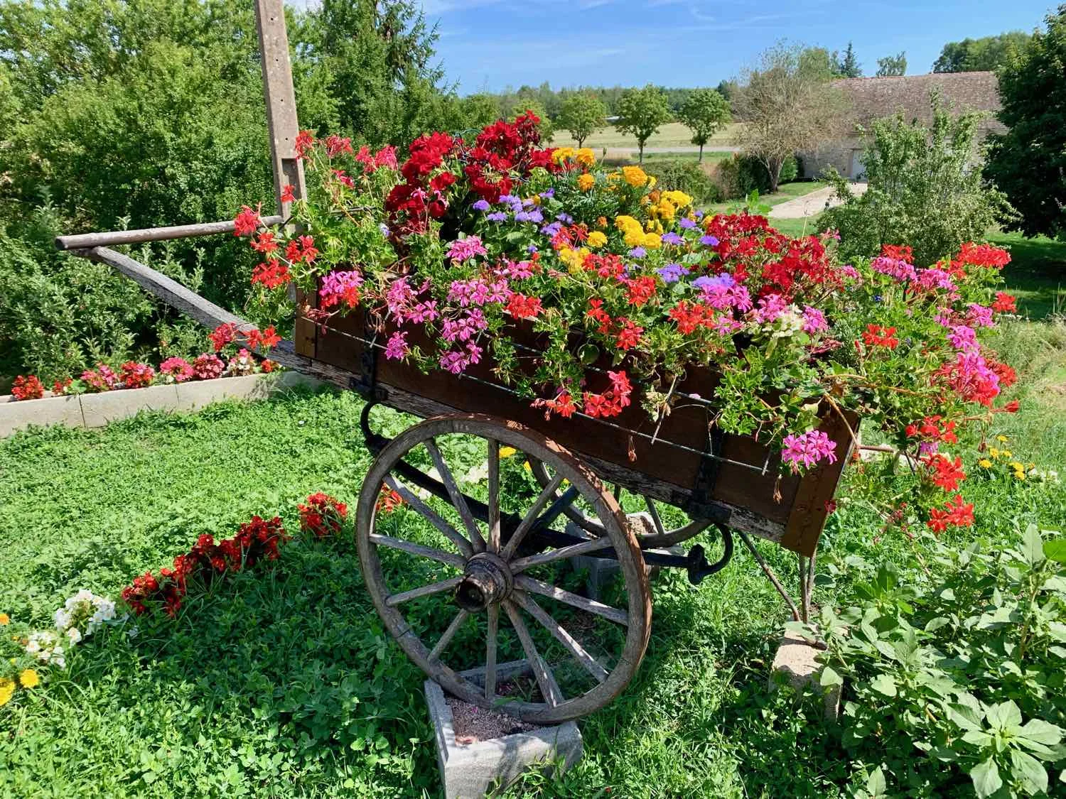 Wheel-barrow flower pot