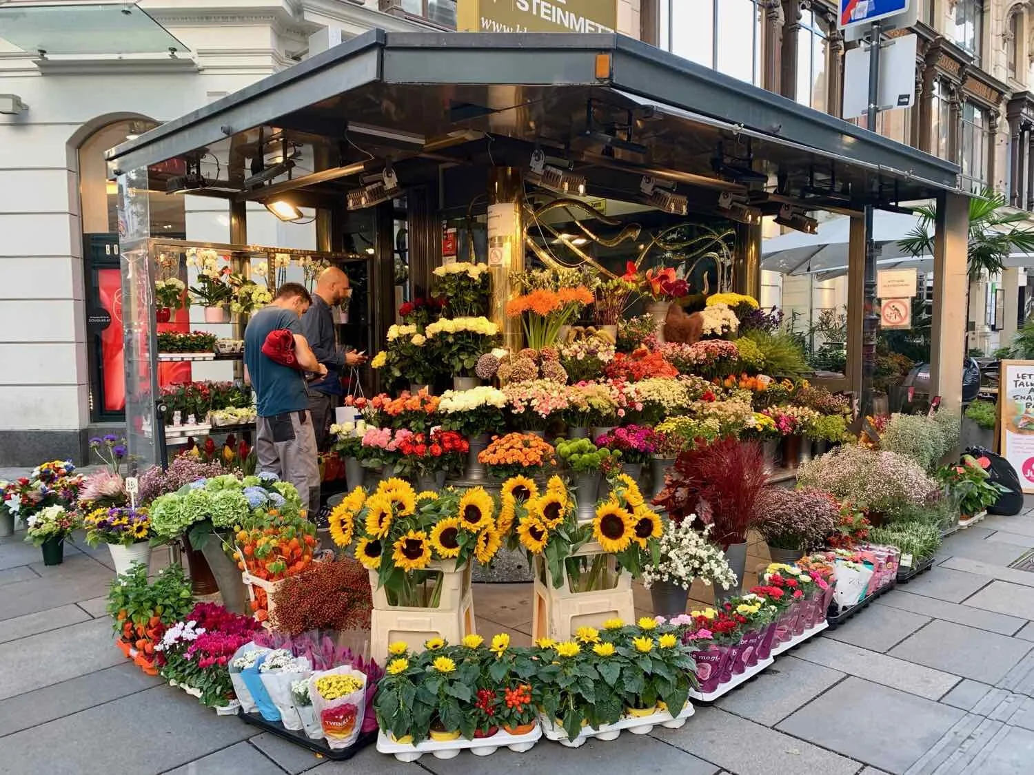 Bountiful flowers, Vienna, Austria