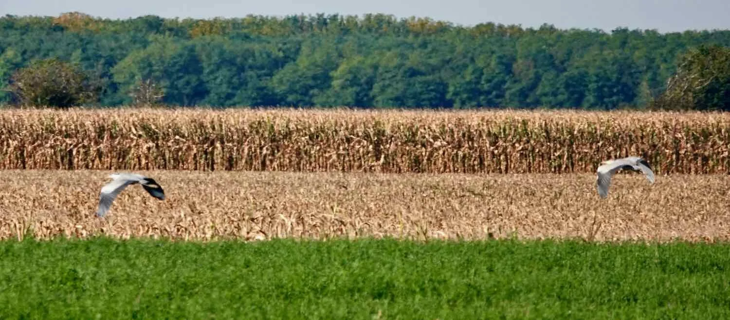 Typical Croatian countryside, EuroVelo 6