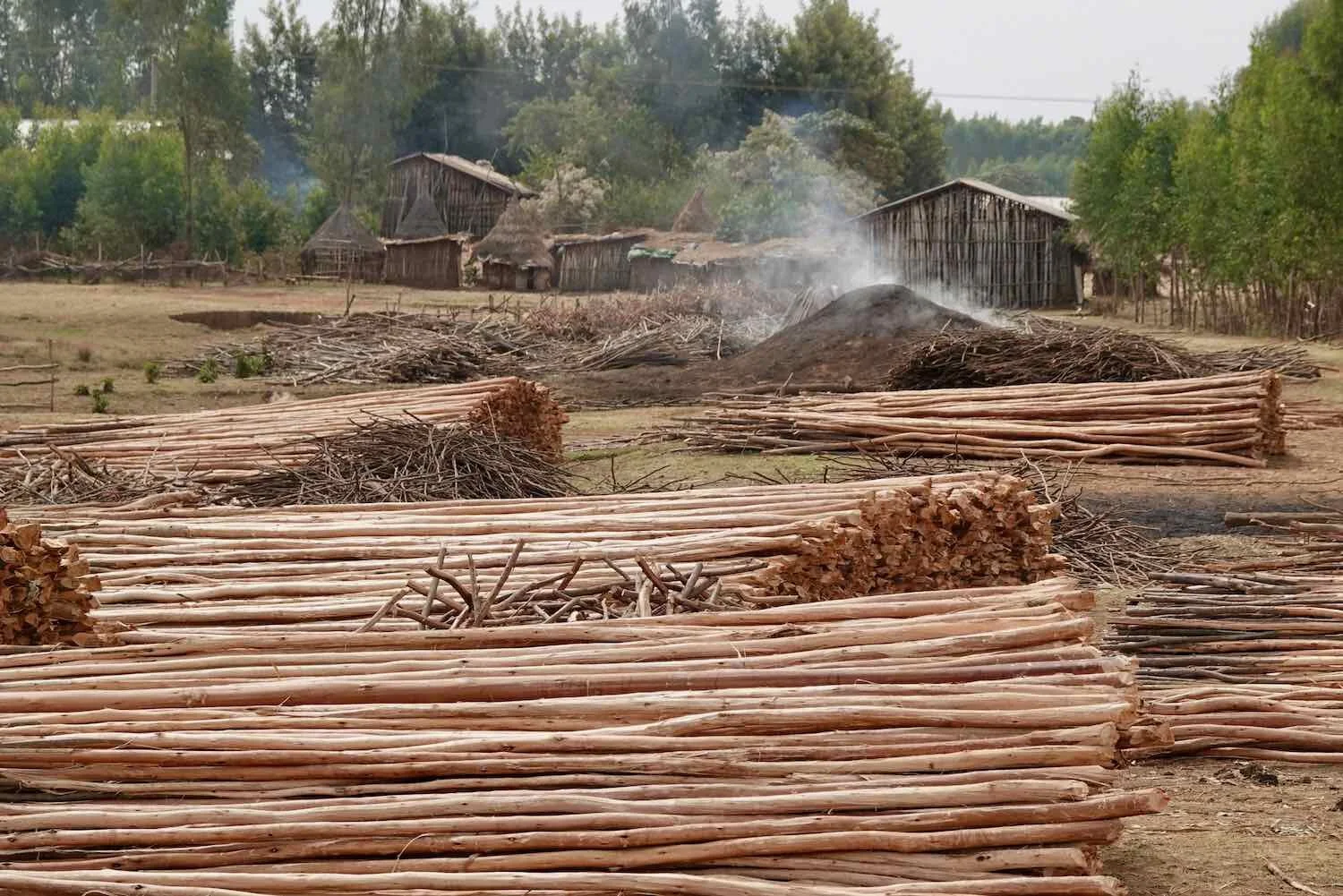 Eucalyptus logs and a smoking charcoal mound