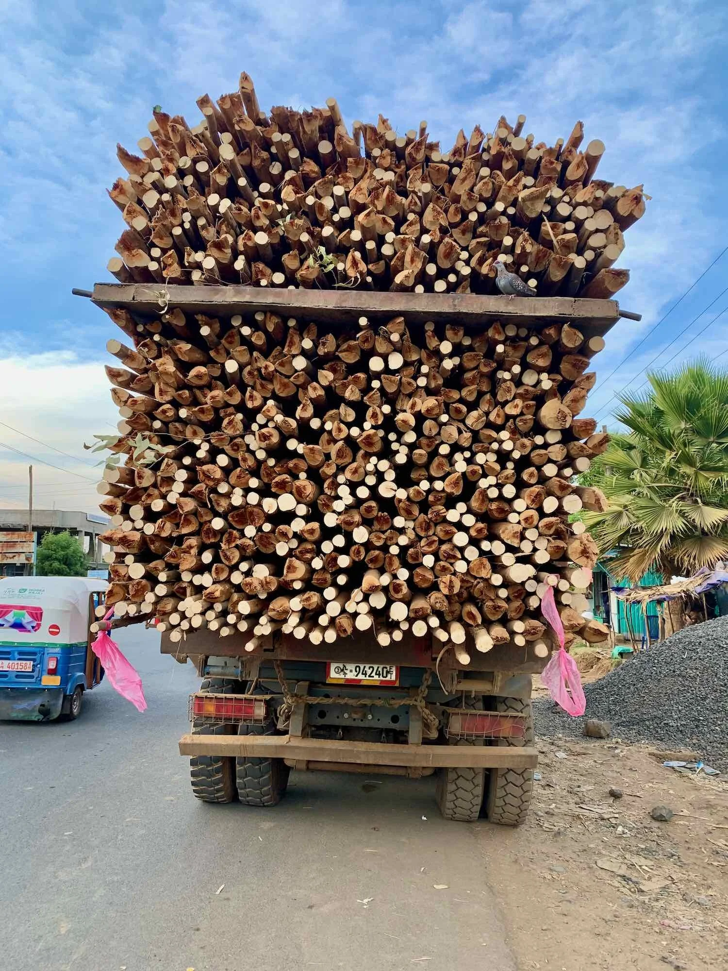 Logs heading out for sale