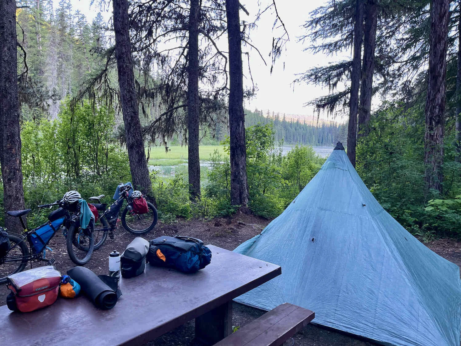 Room with a view of Loon Lake