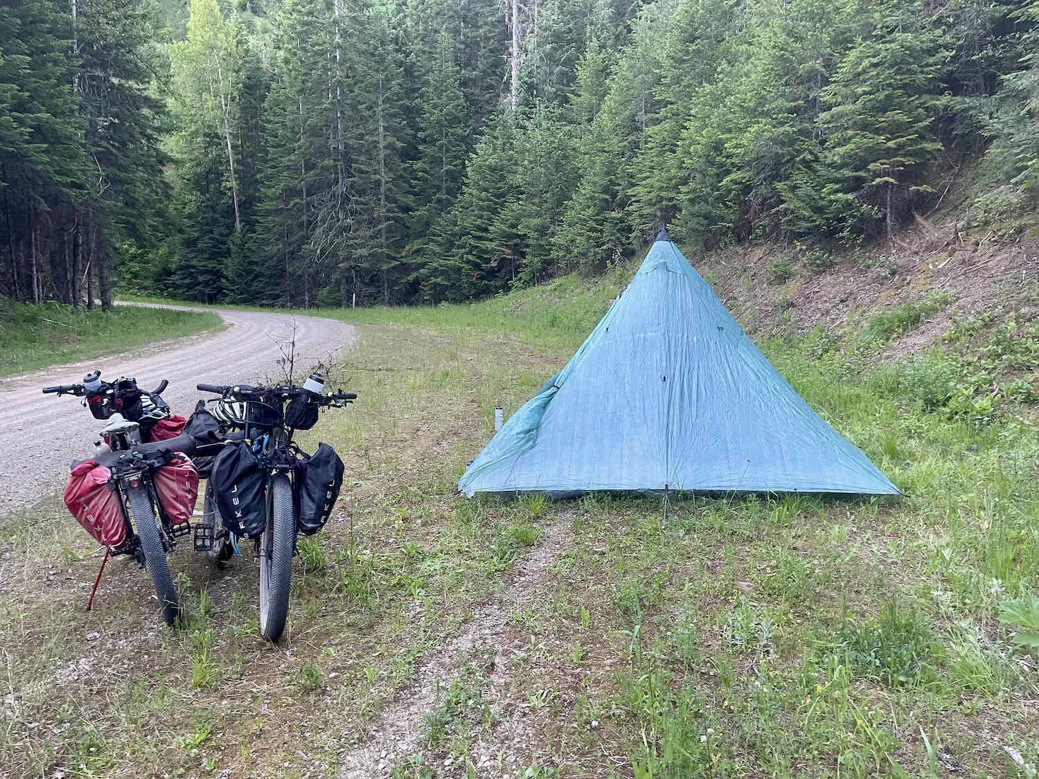 Sleeping by the roadside