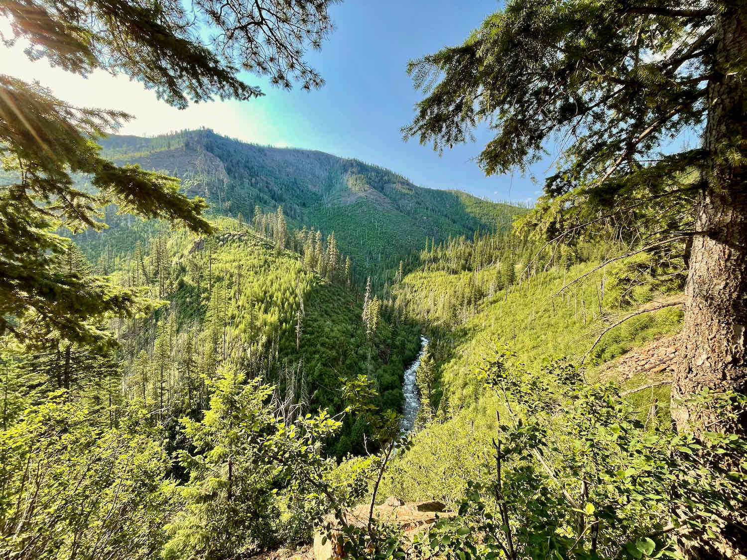 Trout River Valley, Lolo NF