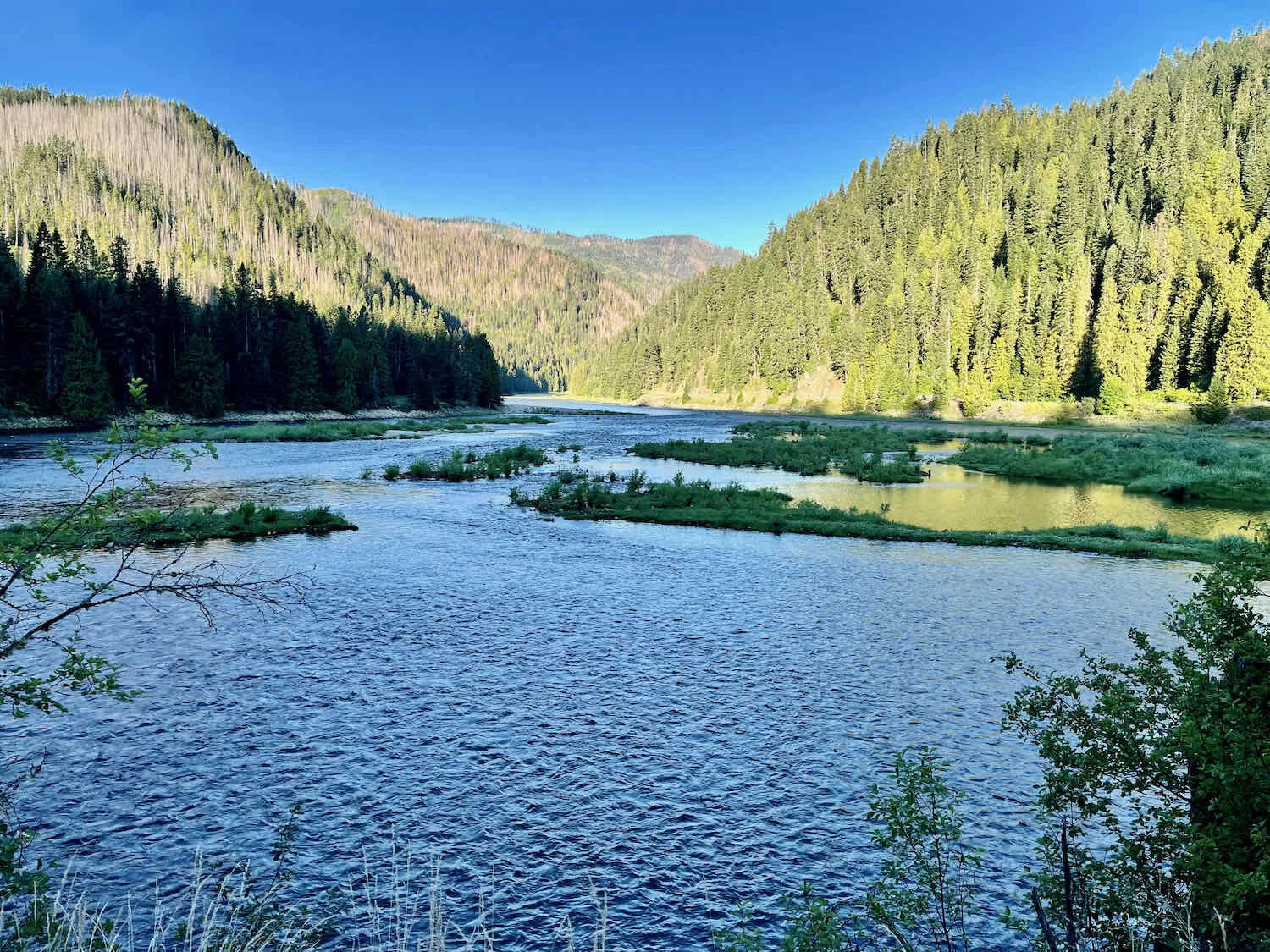 Wild and Scenic Selway River