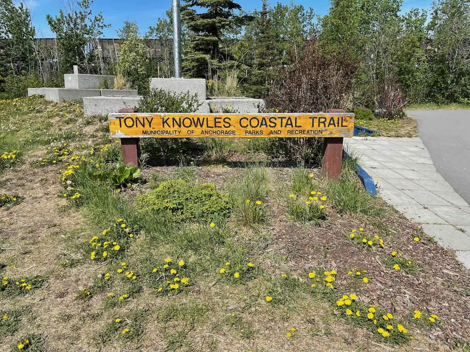 A favorite cycling trail in Anchorage