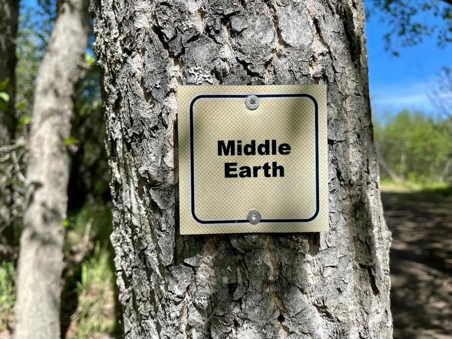 We saw no Hobbits in the woods