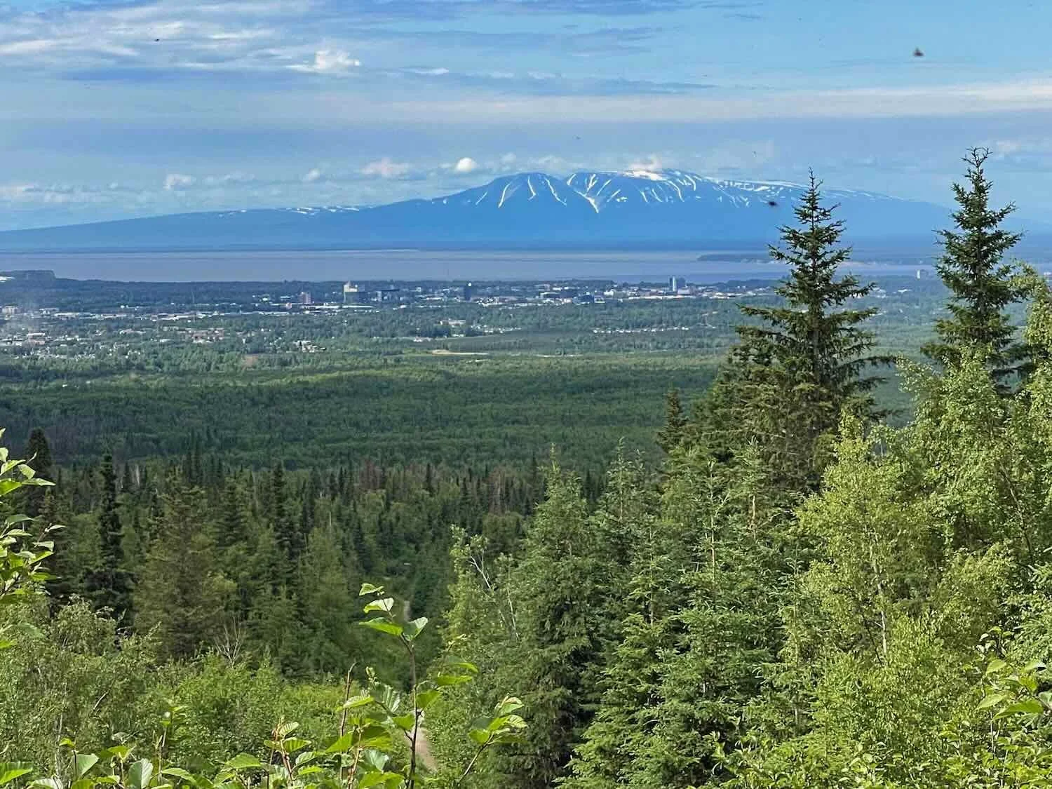 View of "Sleeping Lady", Mount Susitna