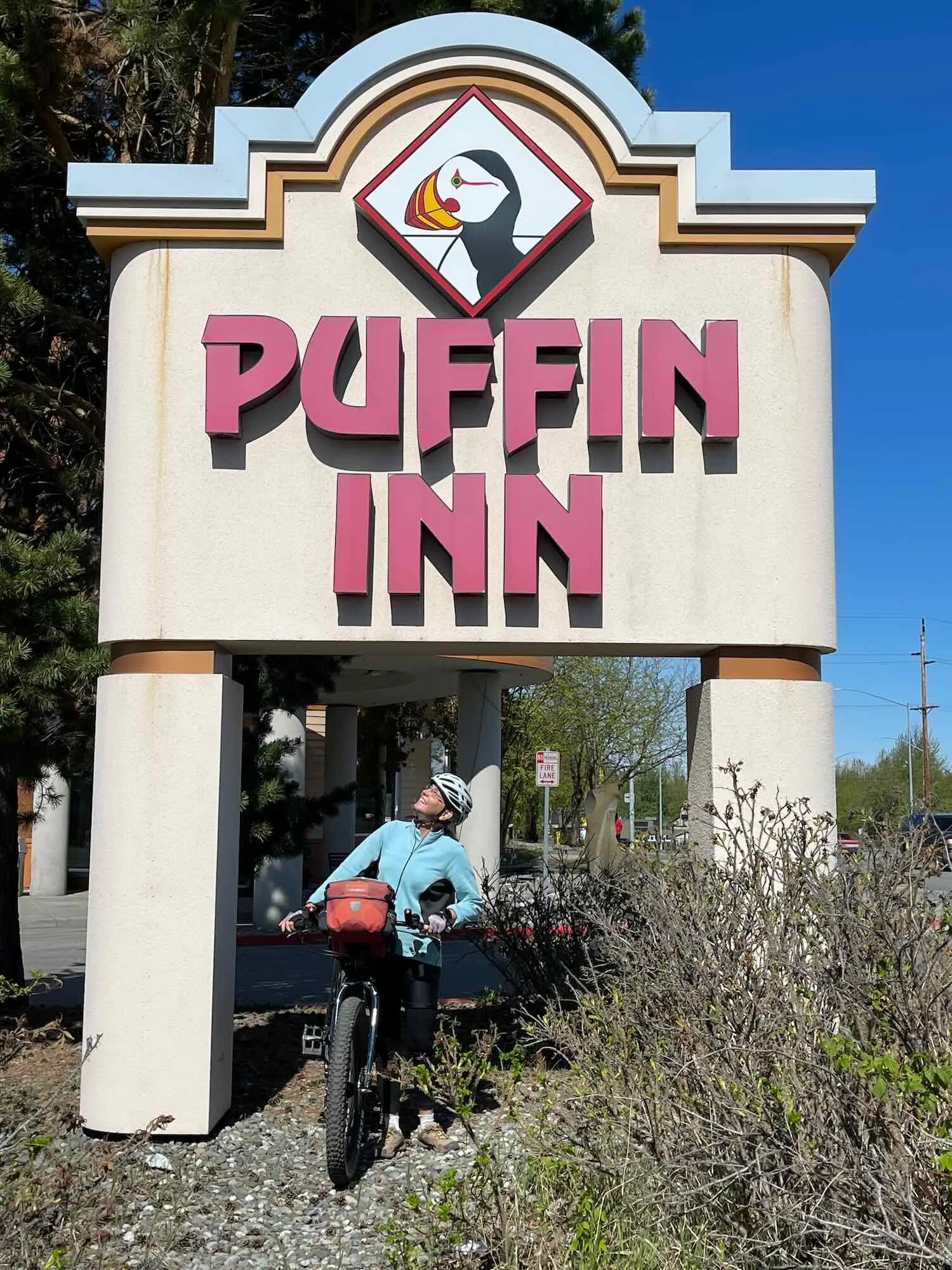 Where the puffins stay while in town
