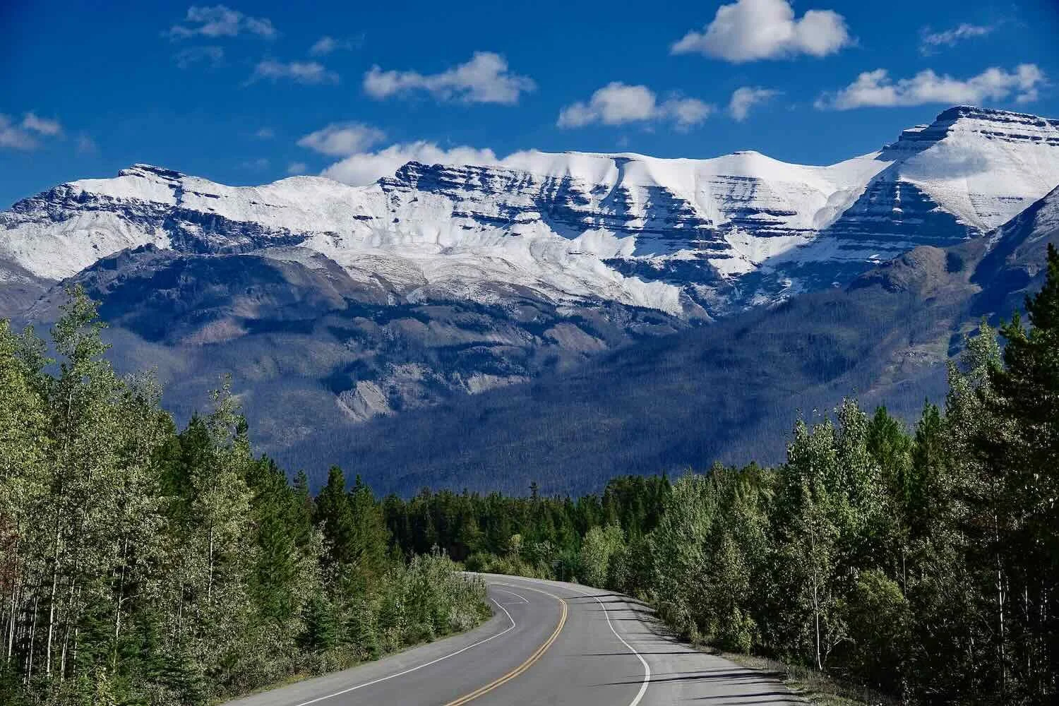 Approaching Saskatchewan Crossing