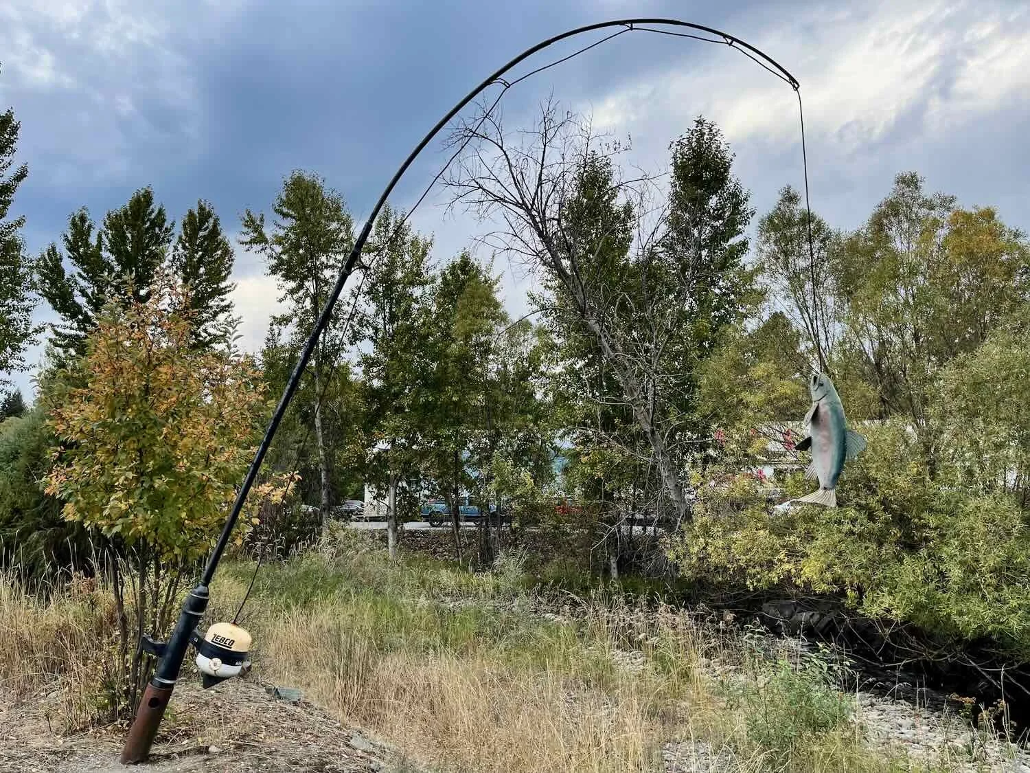 A giant fishing rod, with a trout on the hook