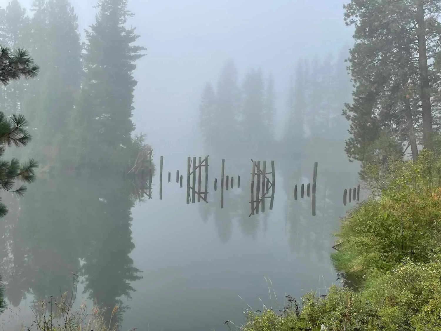 Misty morning on the river