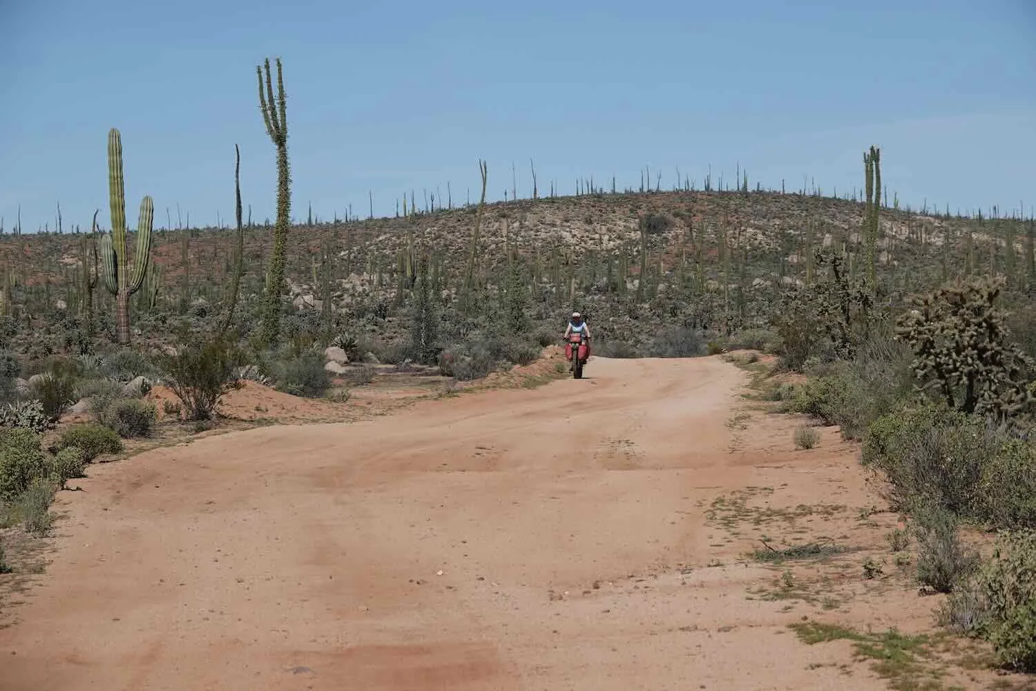 Easier cycling on the way to El Sacrificio