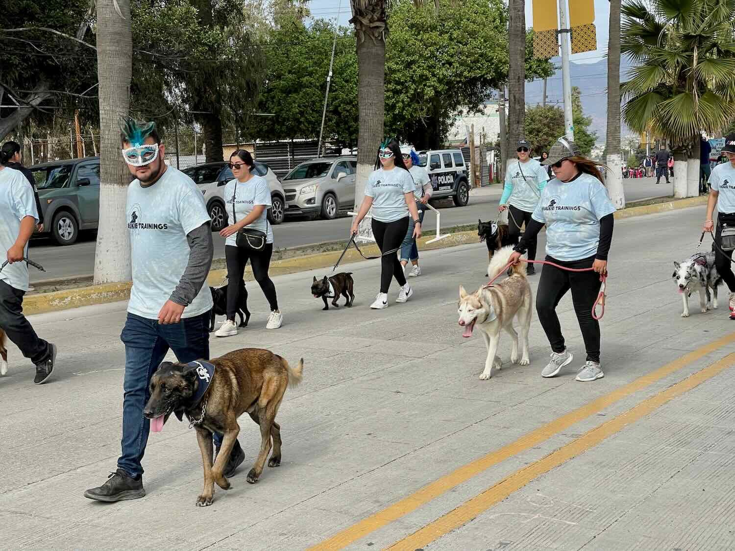 A dog obedience school showed off its pupils