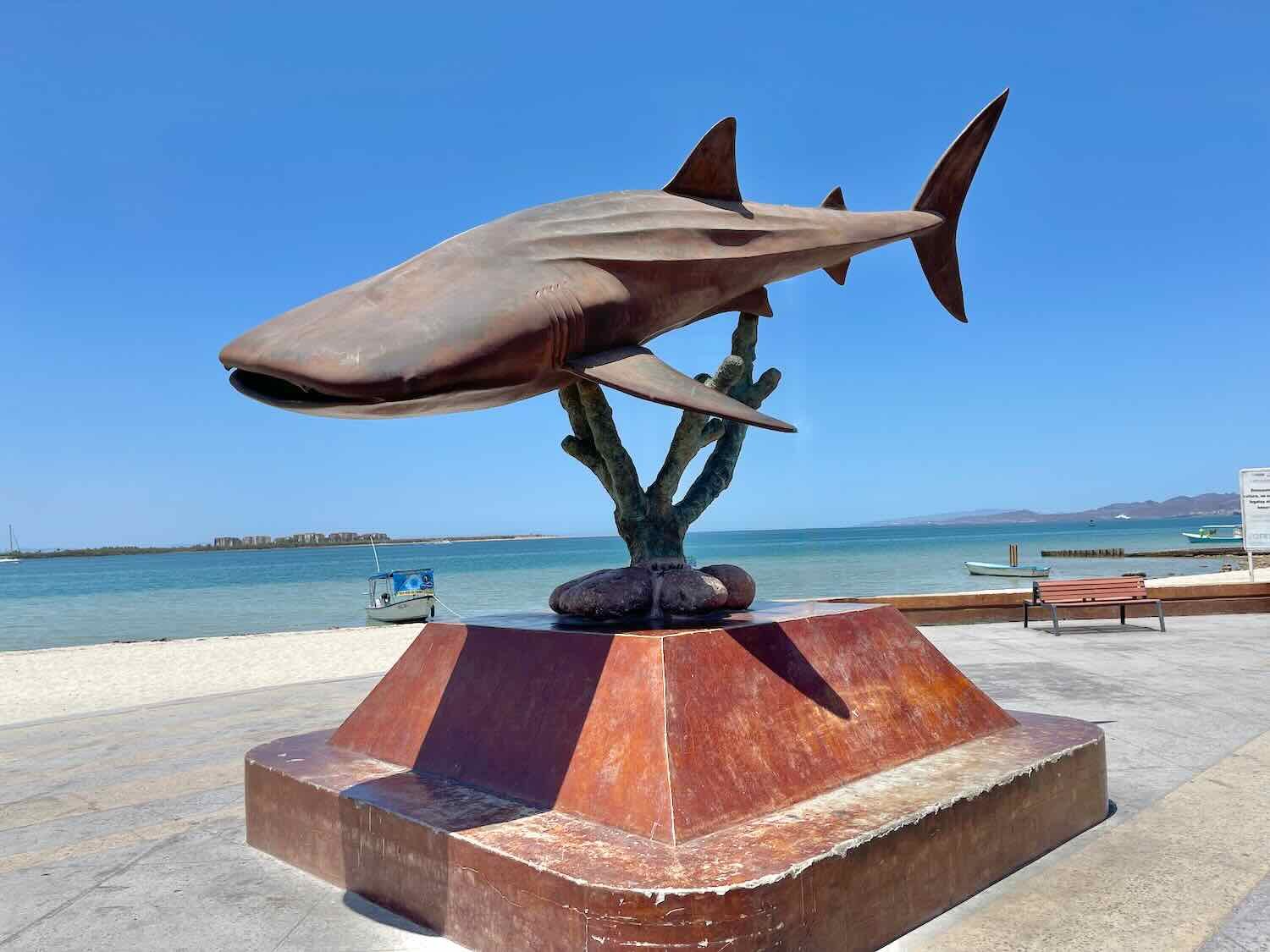 Statue of a Whale Shark