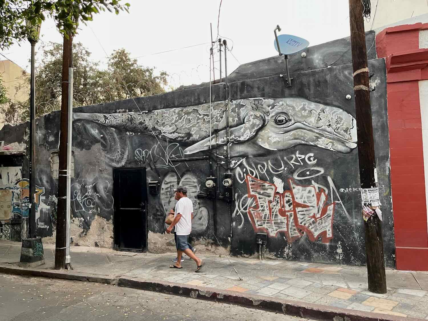 A gray whale floats above more informal graffiti