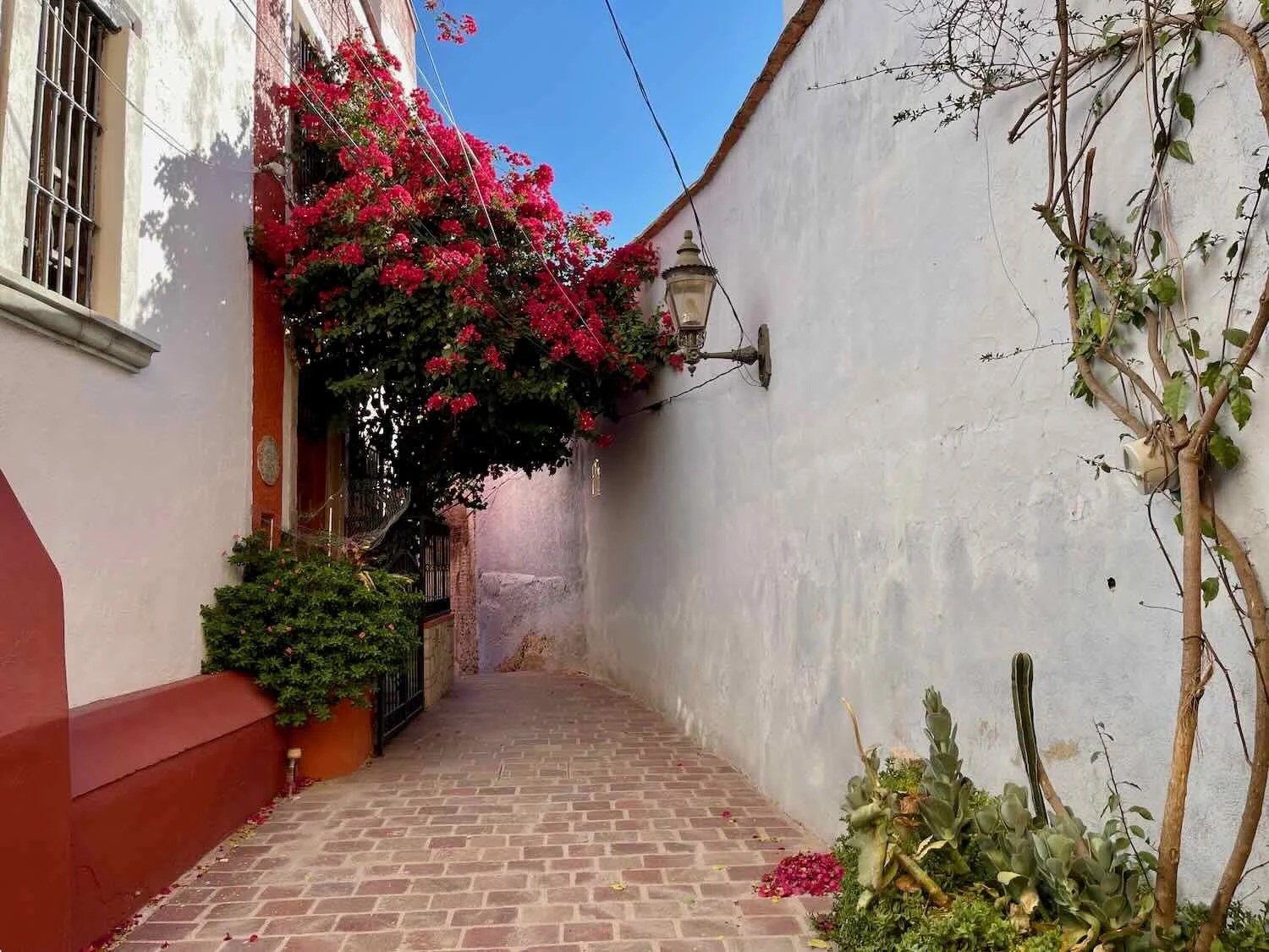  City of Guanajuato, Mexico. Copyright © 2019-2023 Pedals and Puffins. 